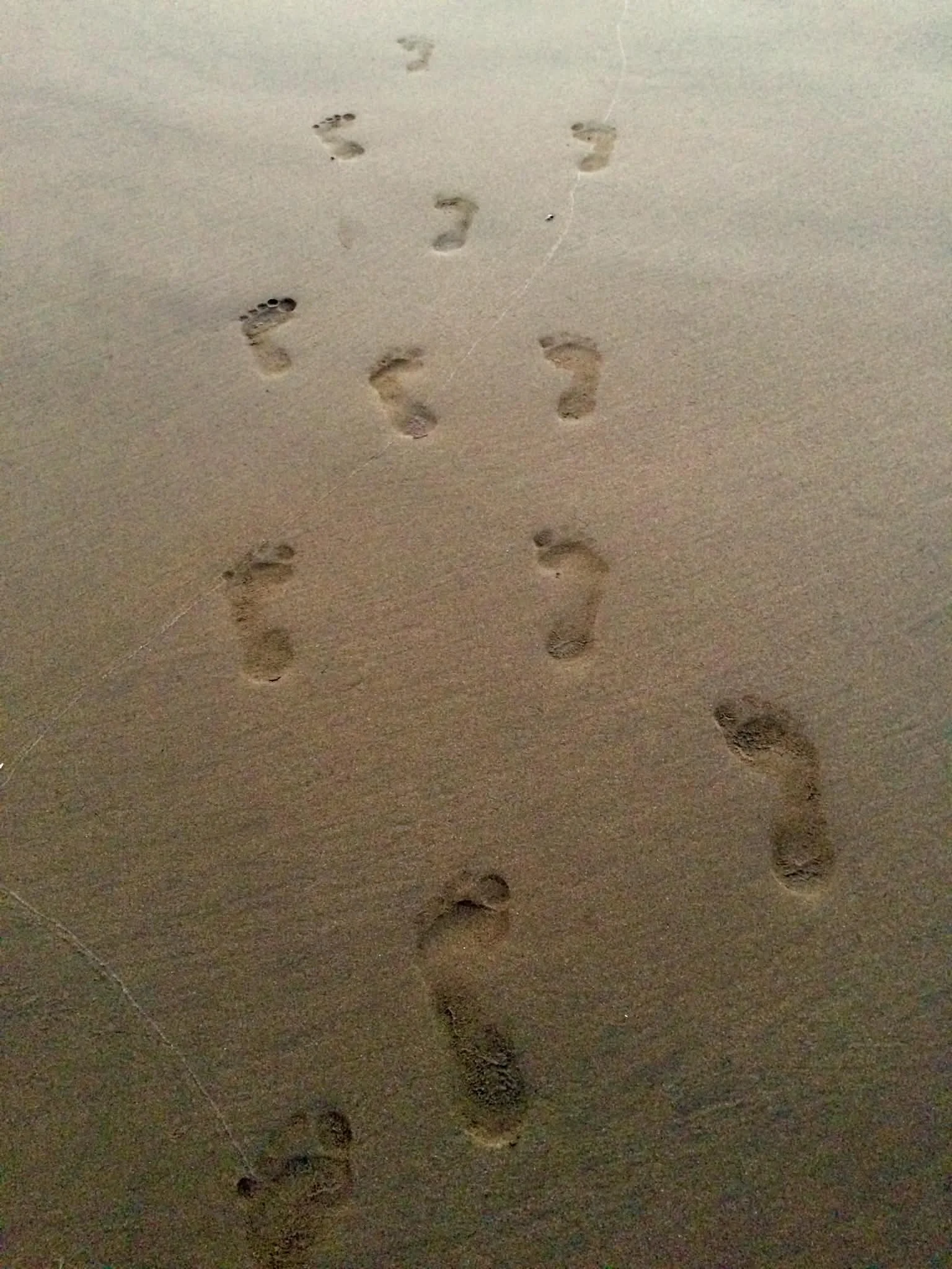 Photo by Paul Gardner