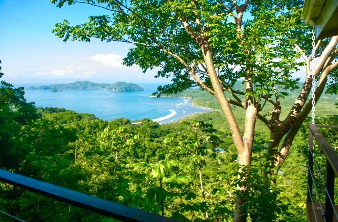 Bodo 1 Ocean View.jpg