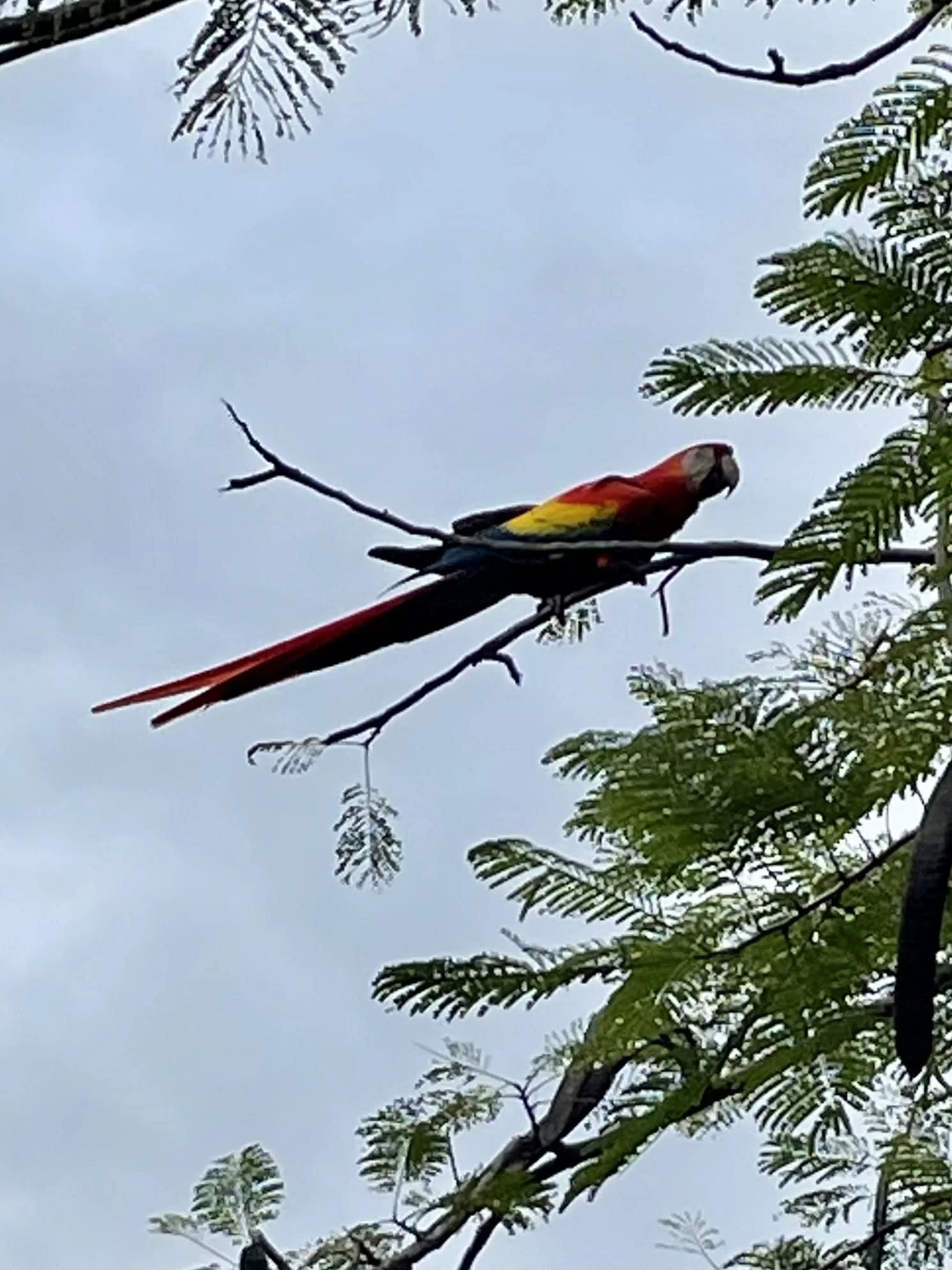 Photo by Paul Gardner