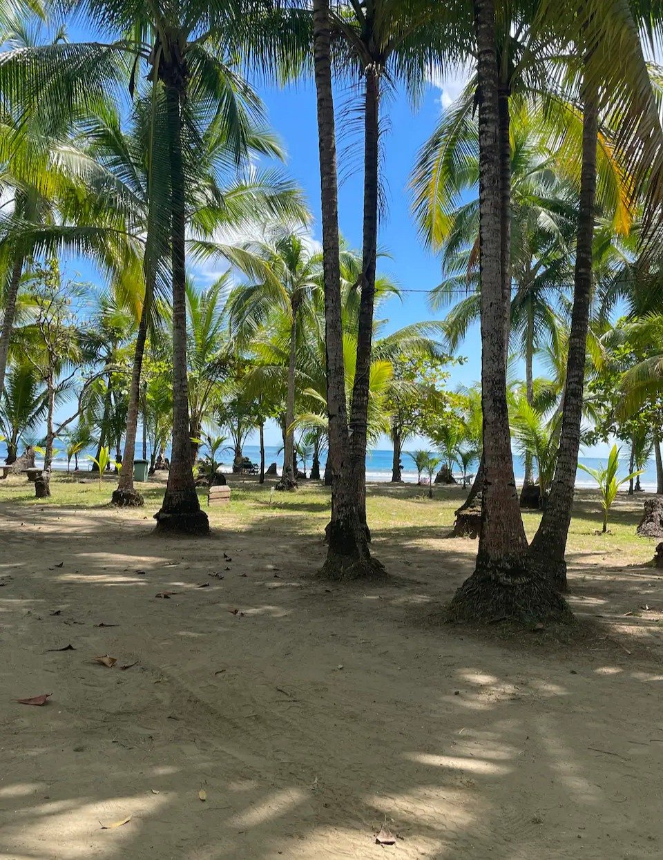 Azul 19 beach.jpg