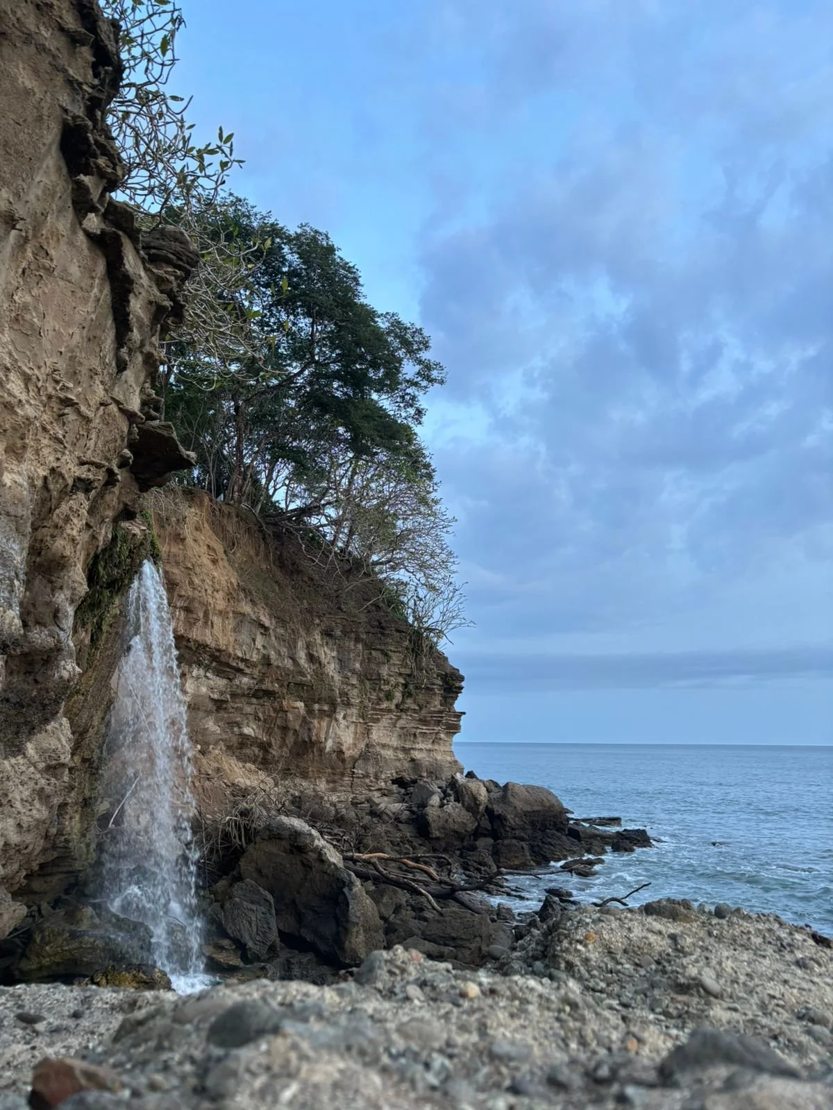 Photo by Nina Dormond