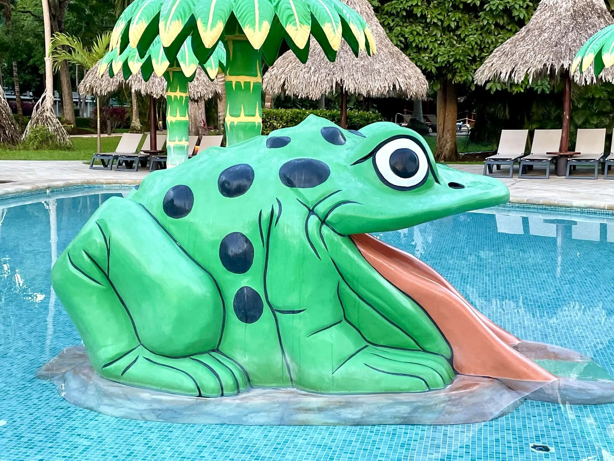 Photo by Paul Gardner