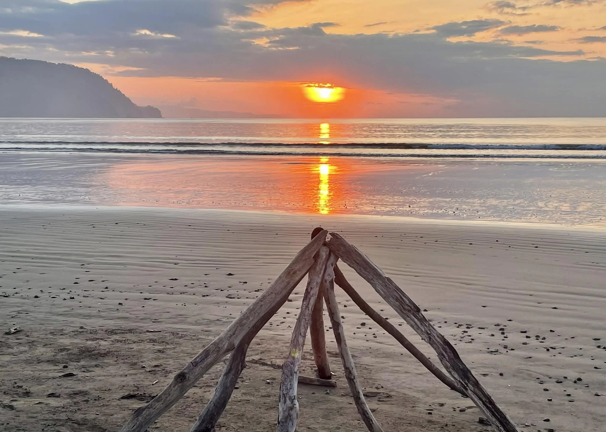 Photo by Paul Gardner