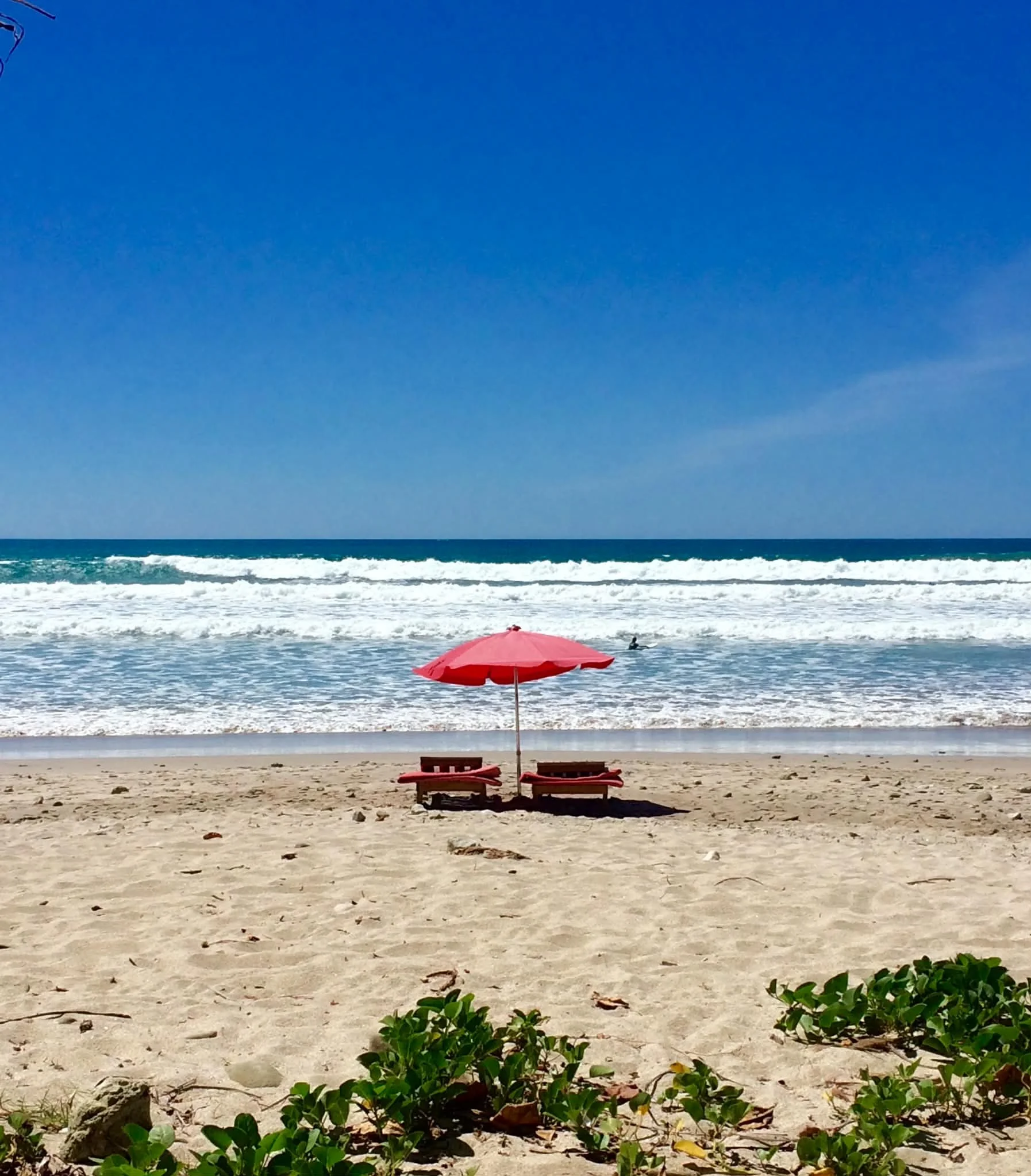 Photo by Paul Gardner