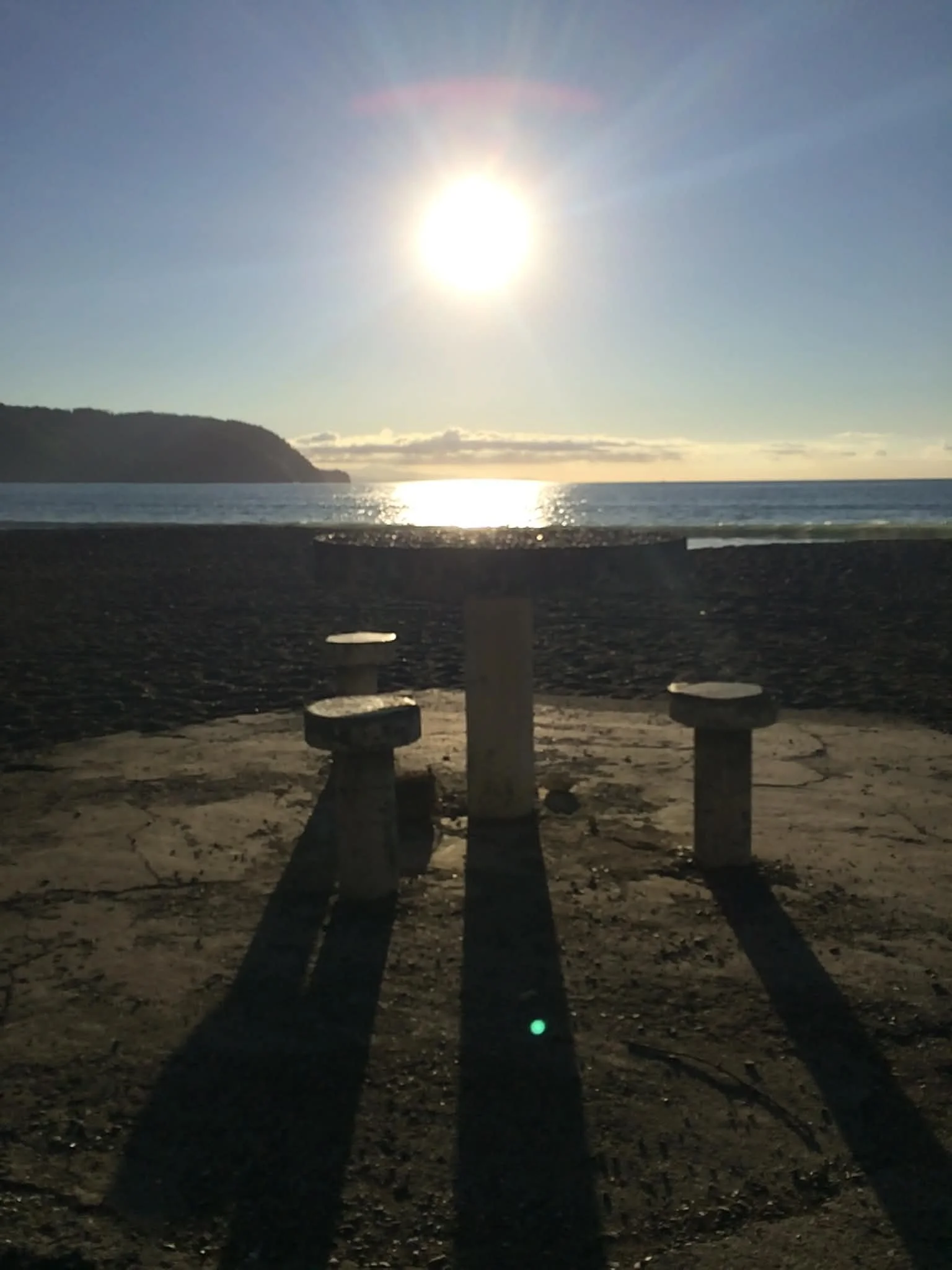 Photo by Paul Gardner