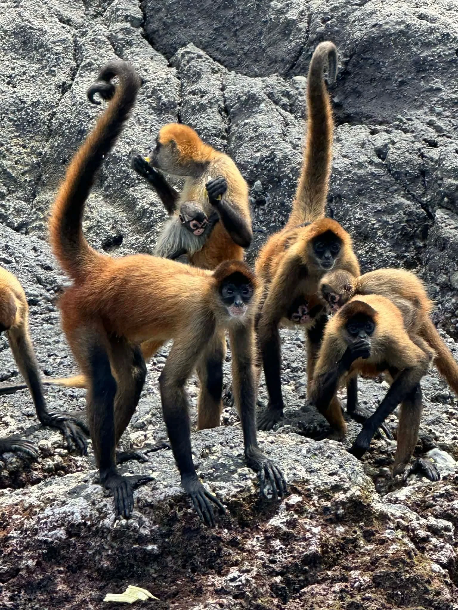 Photo by Patti Comeau