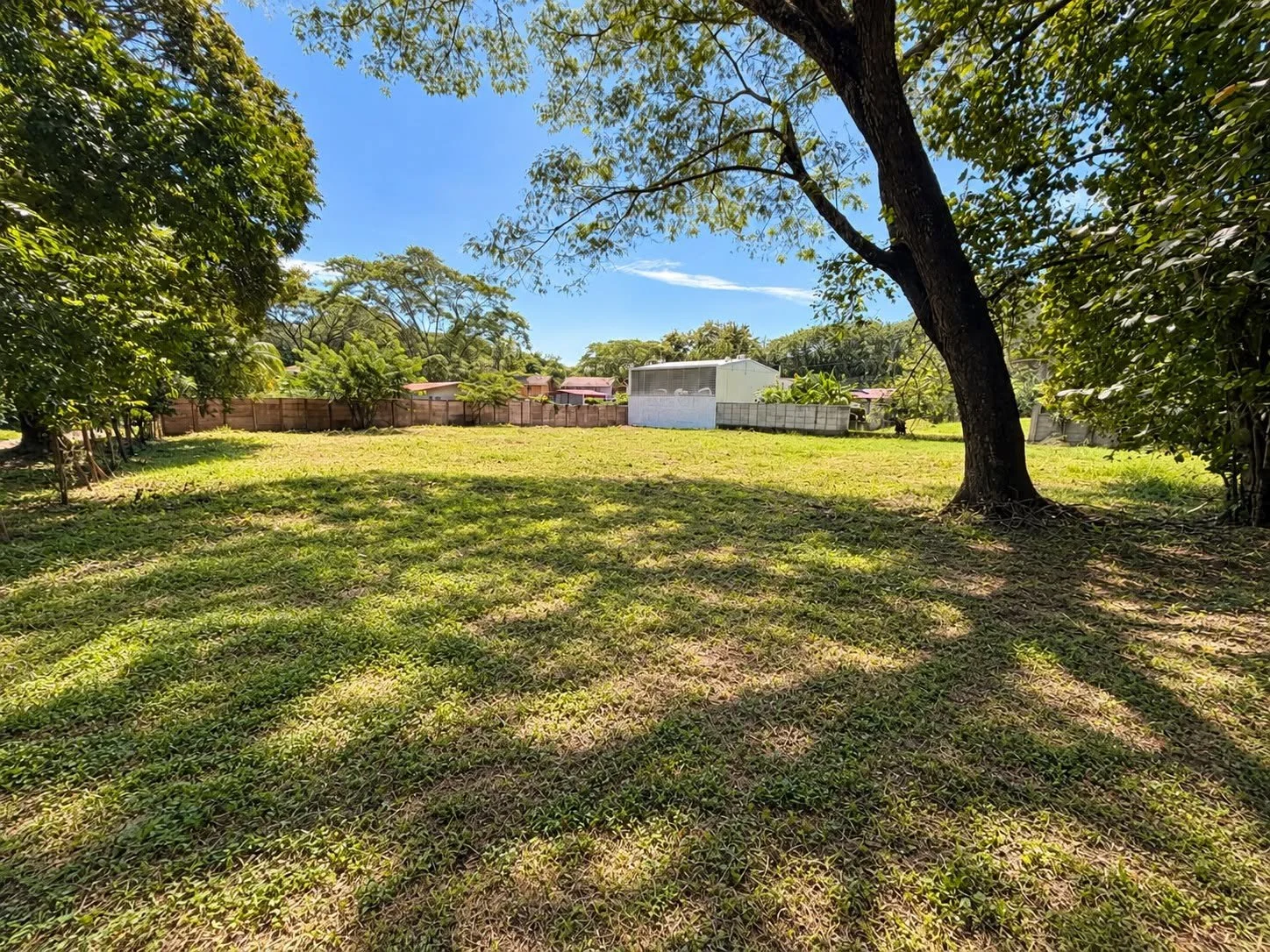 Flat building lot with mature shade trees for sale near Tambor Beach, Costa Rica.