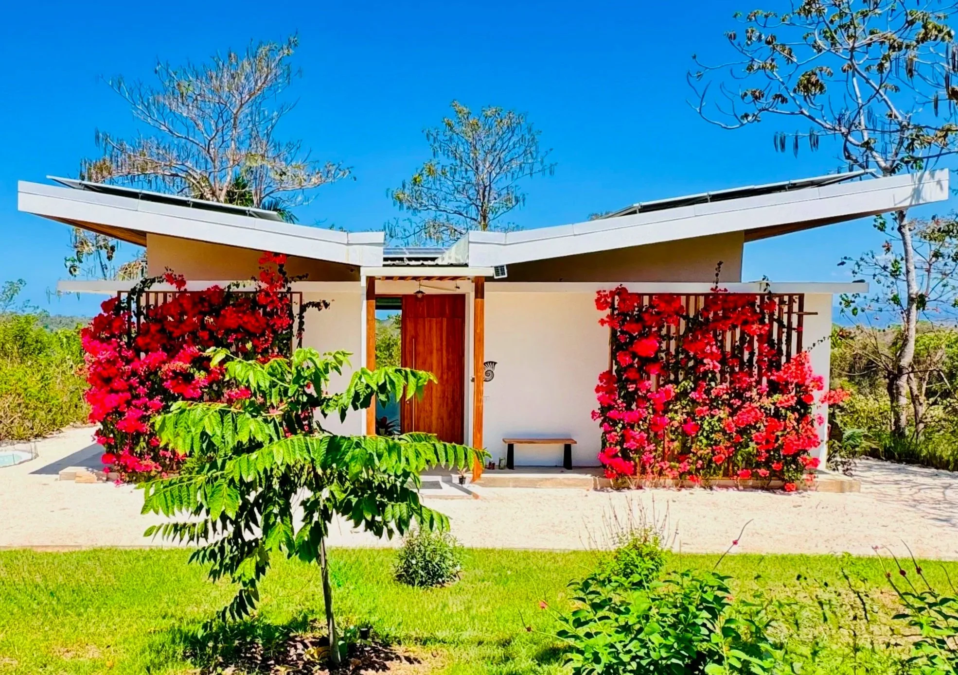 Luxury Jungle Estate with Guest House at The Ark in Santa Teresa - SOLD!