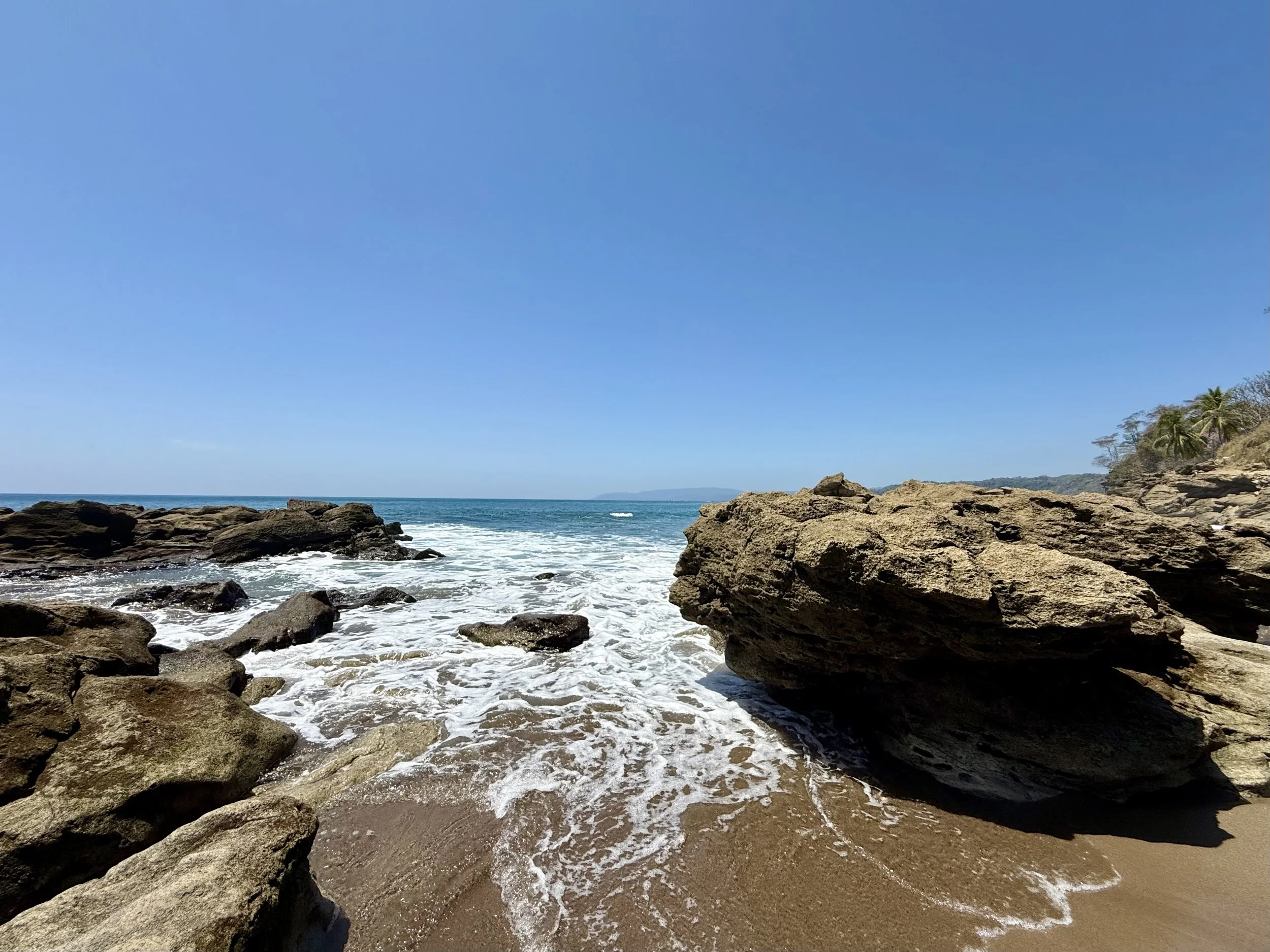 Photo by Grace Dimartino