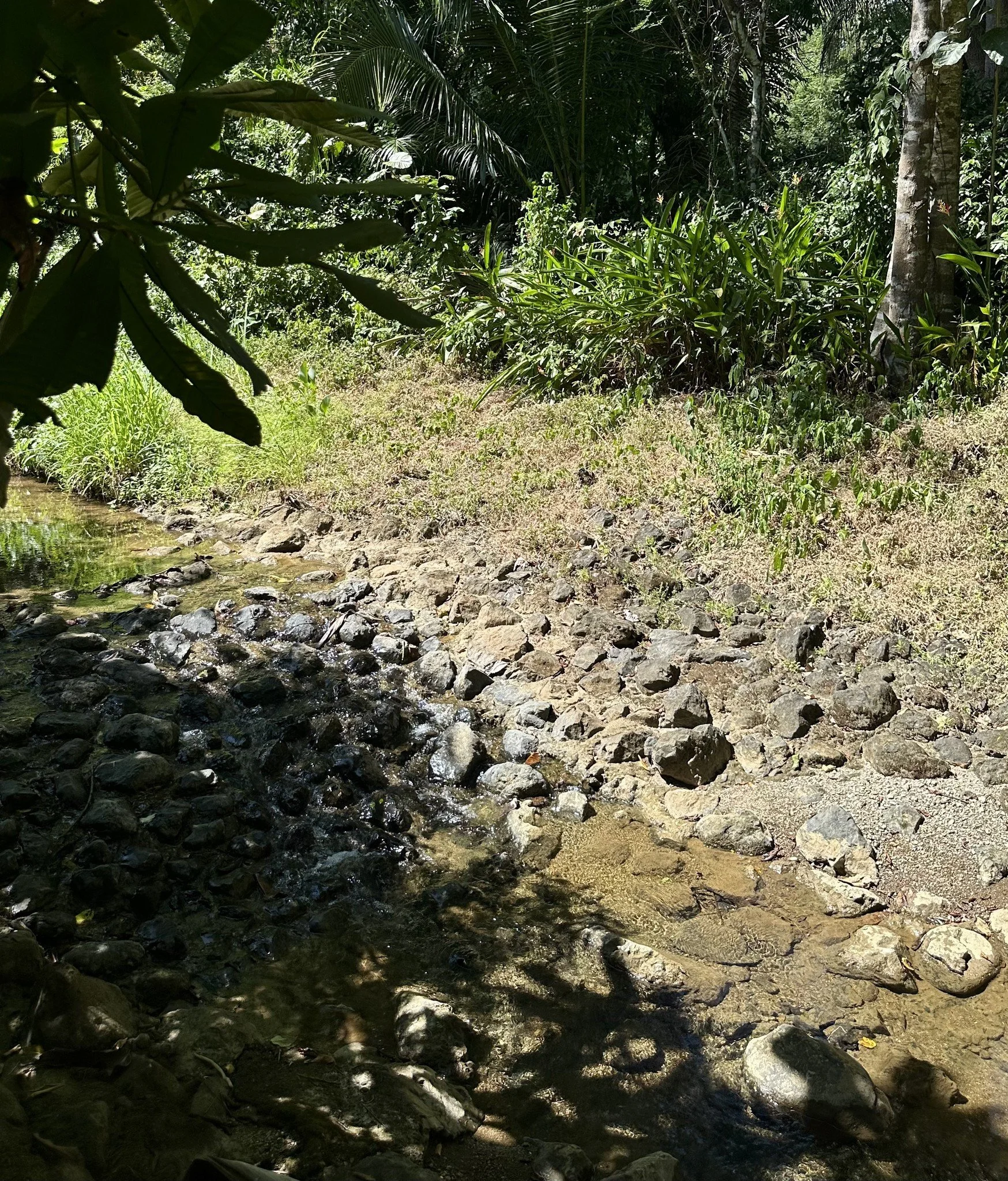 river.jpg