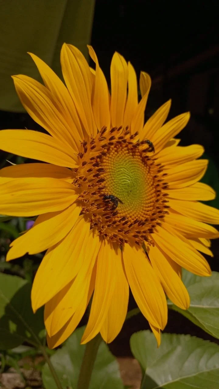 Photo by Nina Dormond