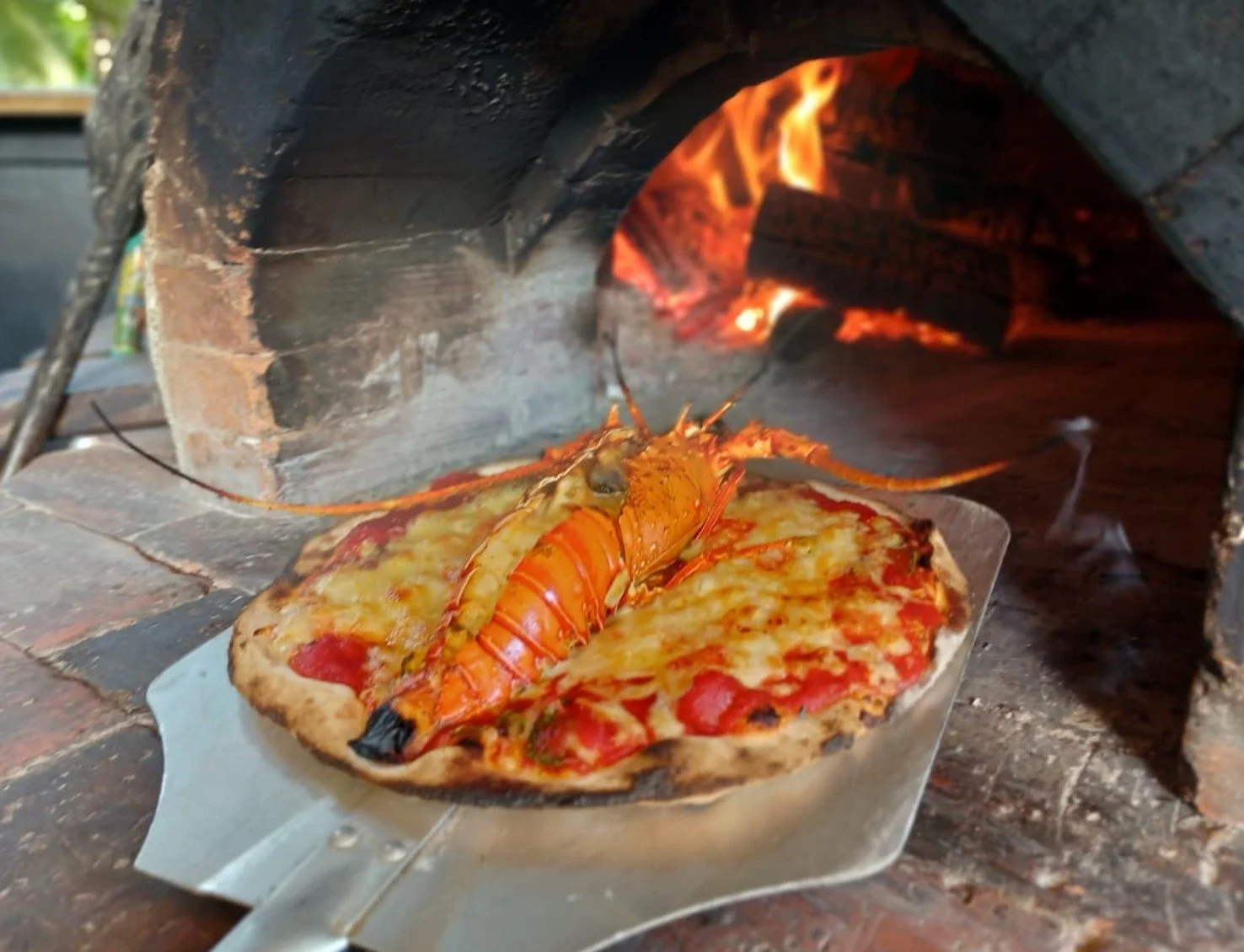 Freshly baked specialty pizza coming out of the dedicated pizza oven at Tambor pizzeria.