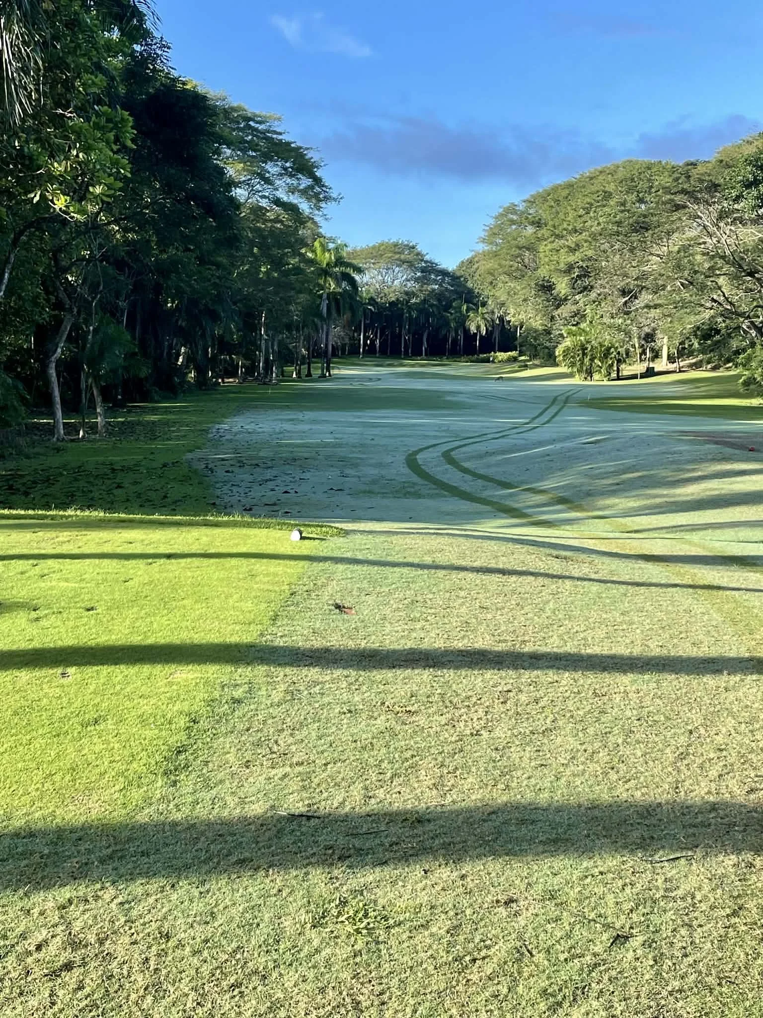 Photo by Paul Gardner