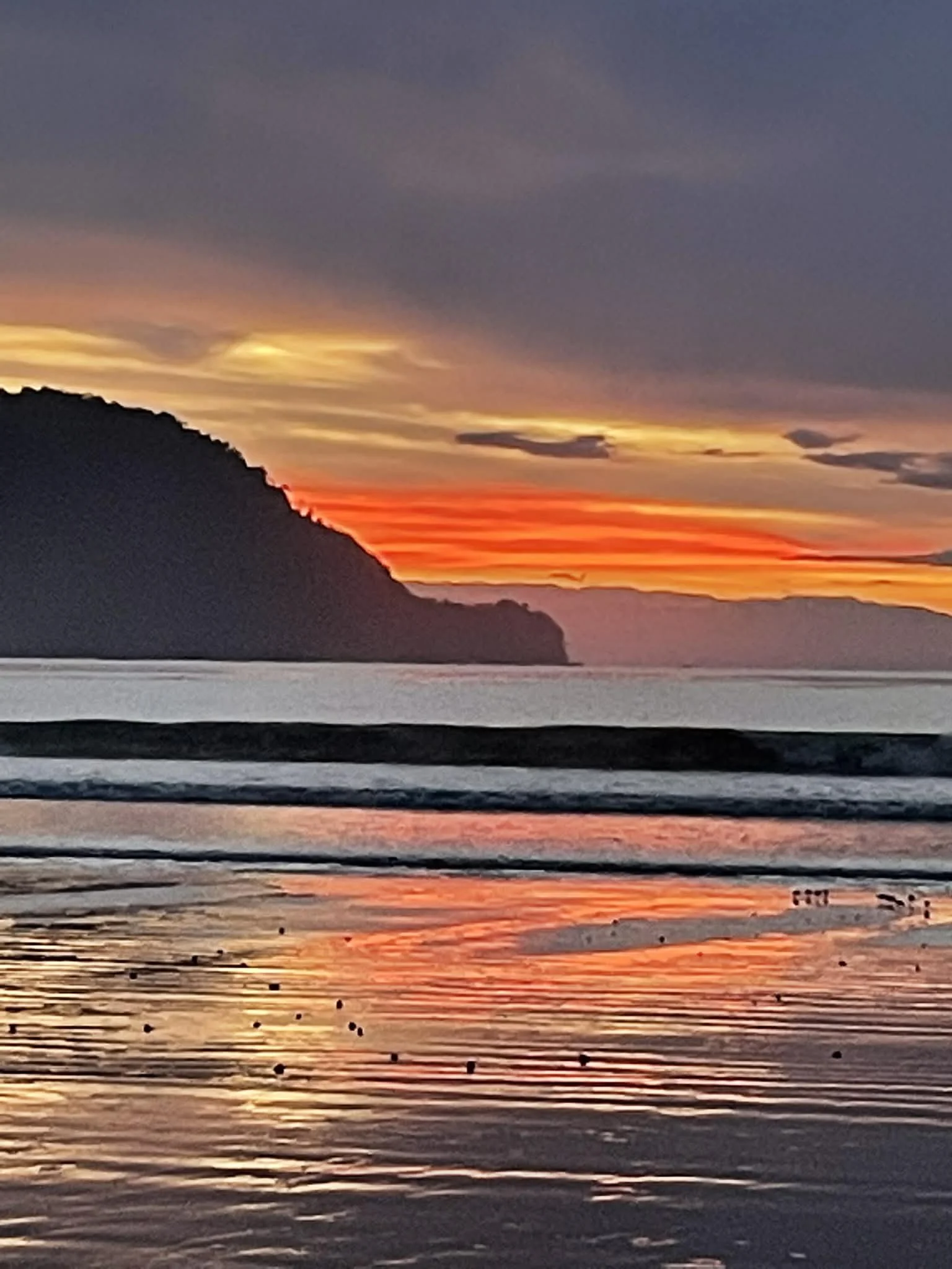 Photo by Paul Gardner