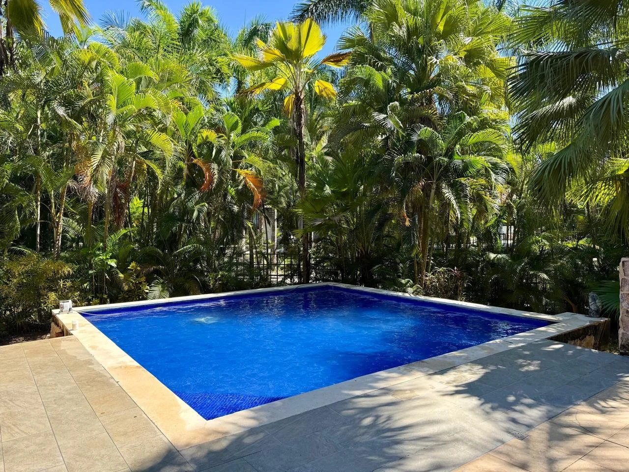 WhatsApp Image 2026-01-02 at 18.05.10 (20).jpeg