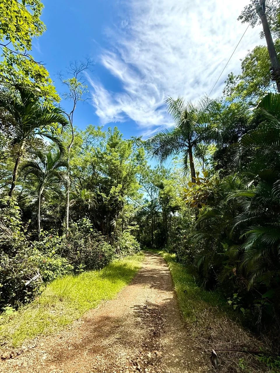 Suenos Gabriella lot 9.jpeg