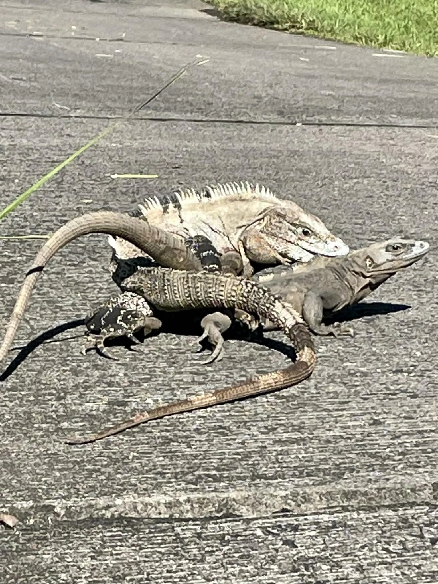 Photo by Paul Gardner