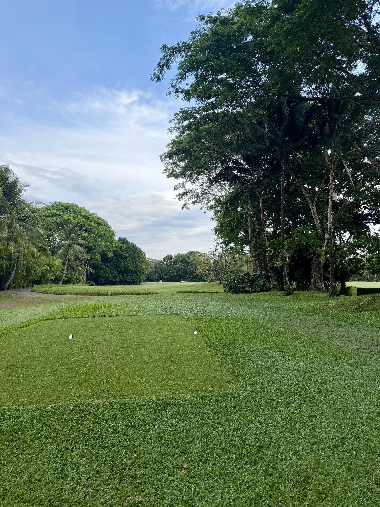 Semi 521 golf course.jpg