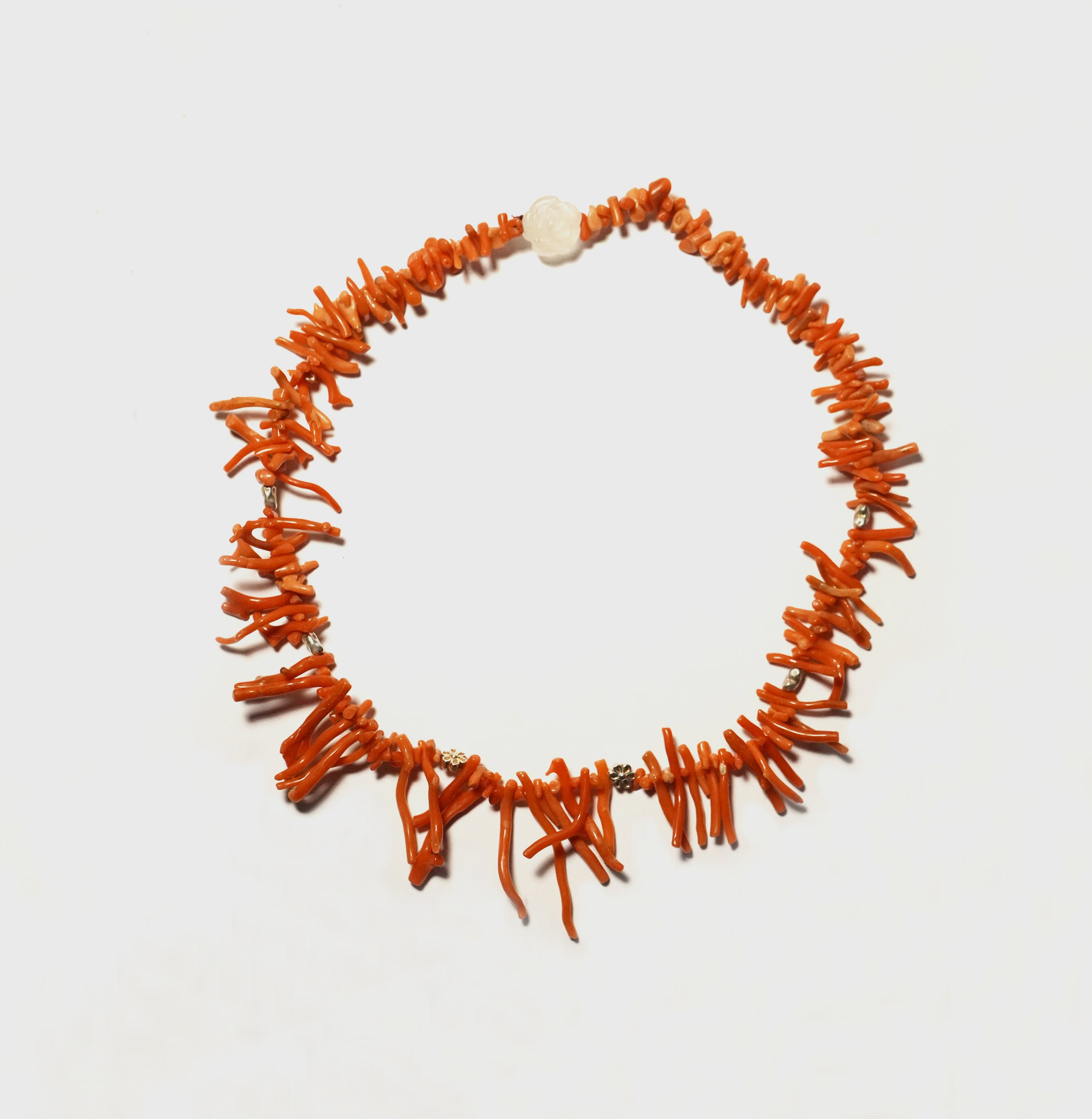 wild-coral-1.jpg