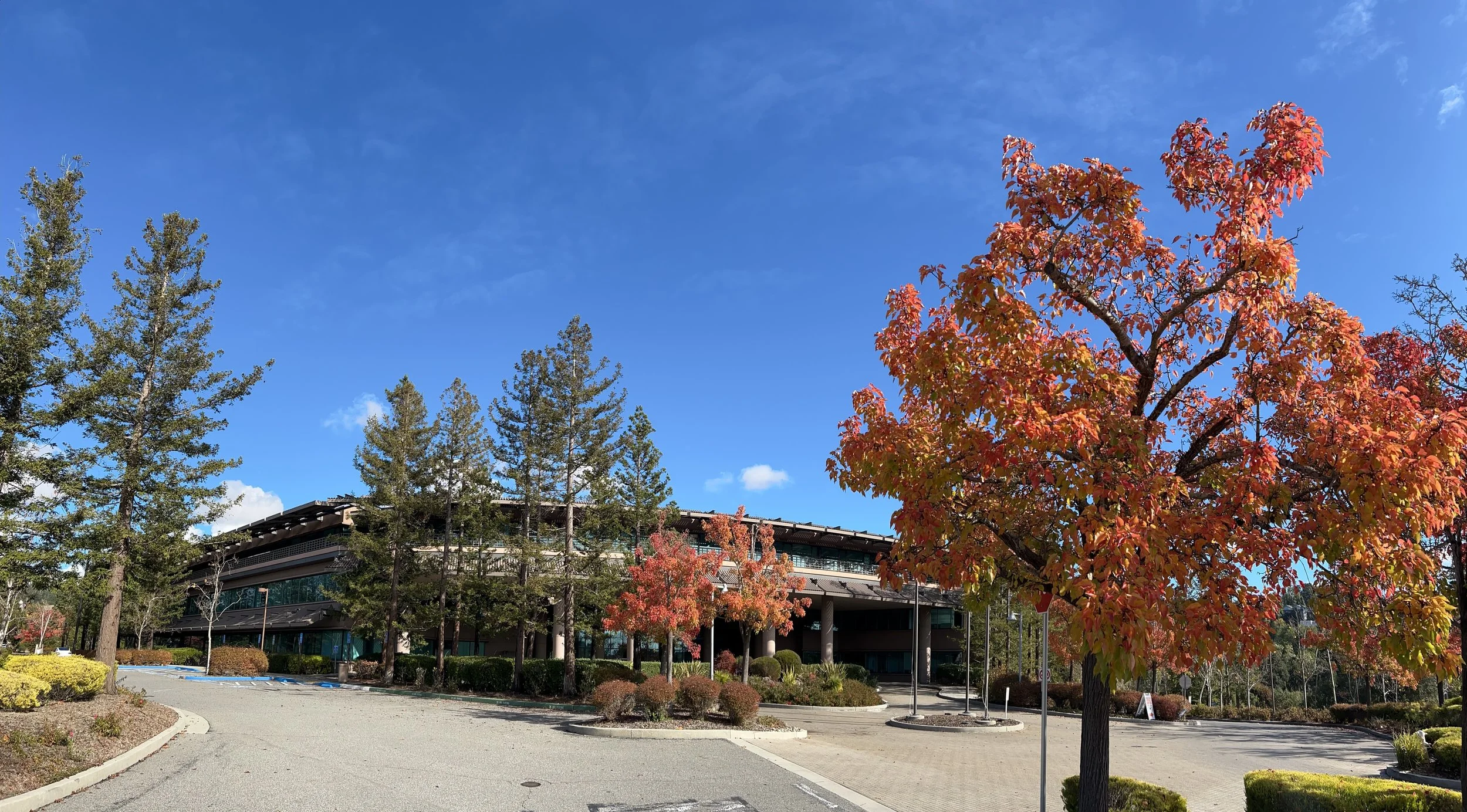 A parking lot with a building in the background, surrounded by trees with orange and green leaves, under a bright blue sky.