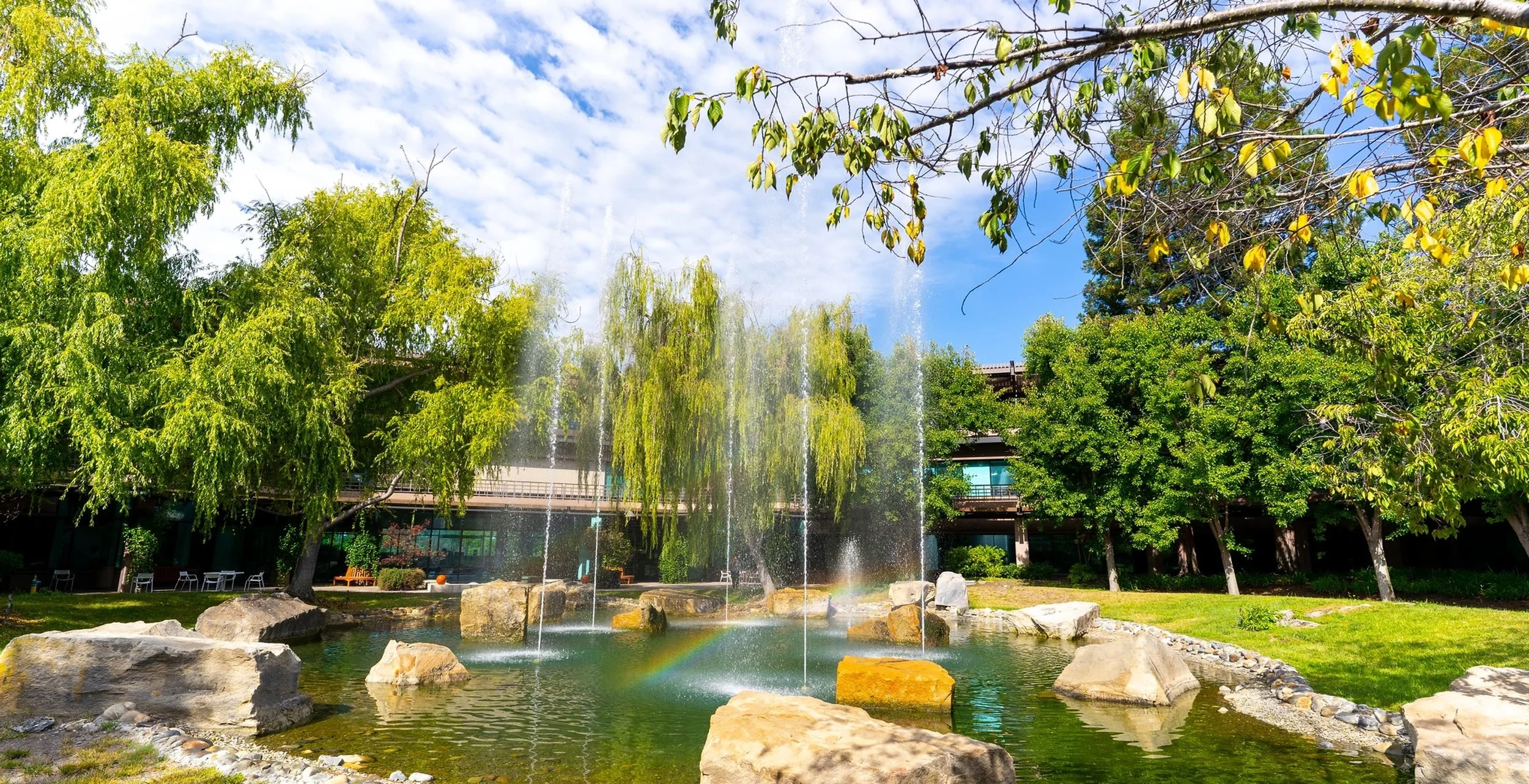 A park with a pond and a fountain, surrounded by green trees and grass, under a partly cloudy blue sky.