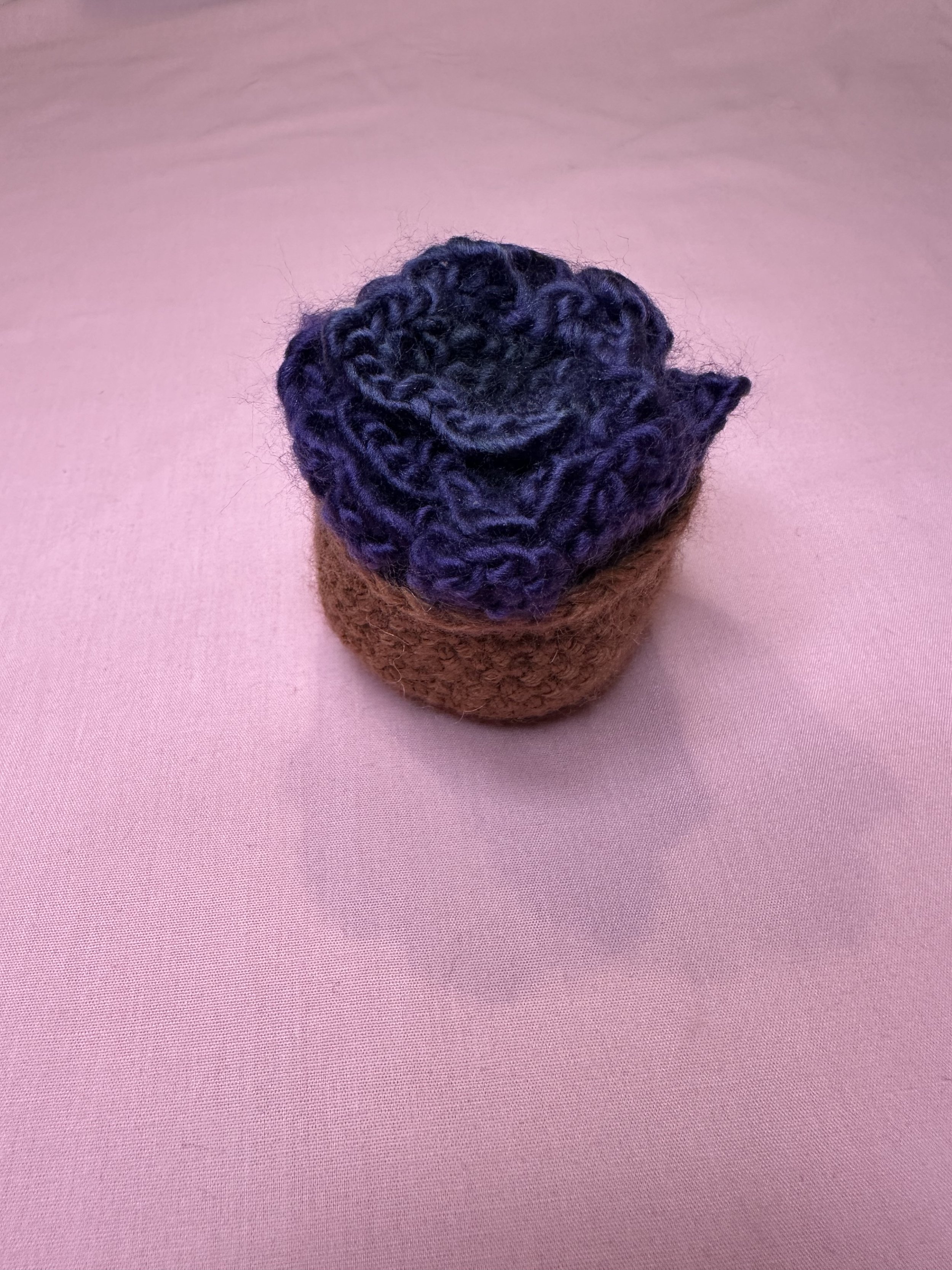 Violet Succulent