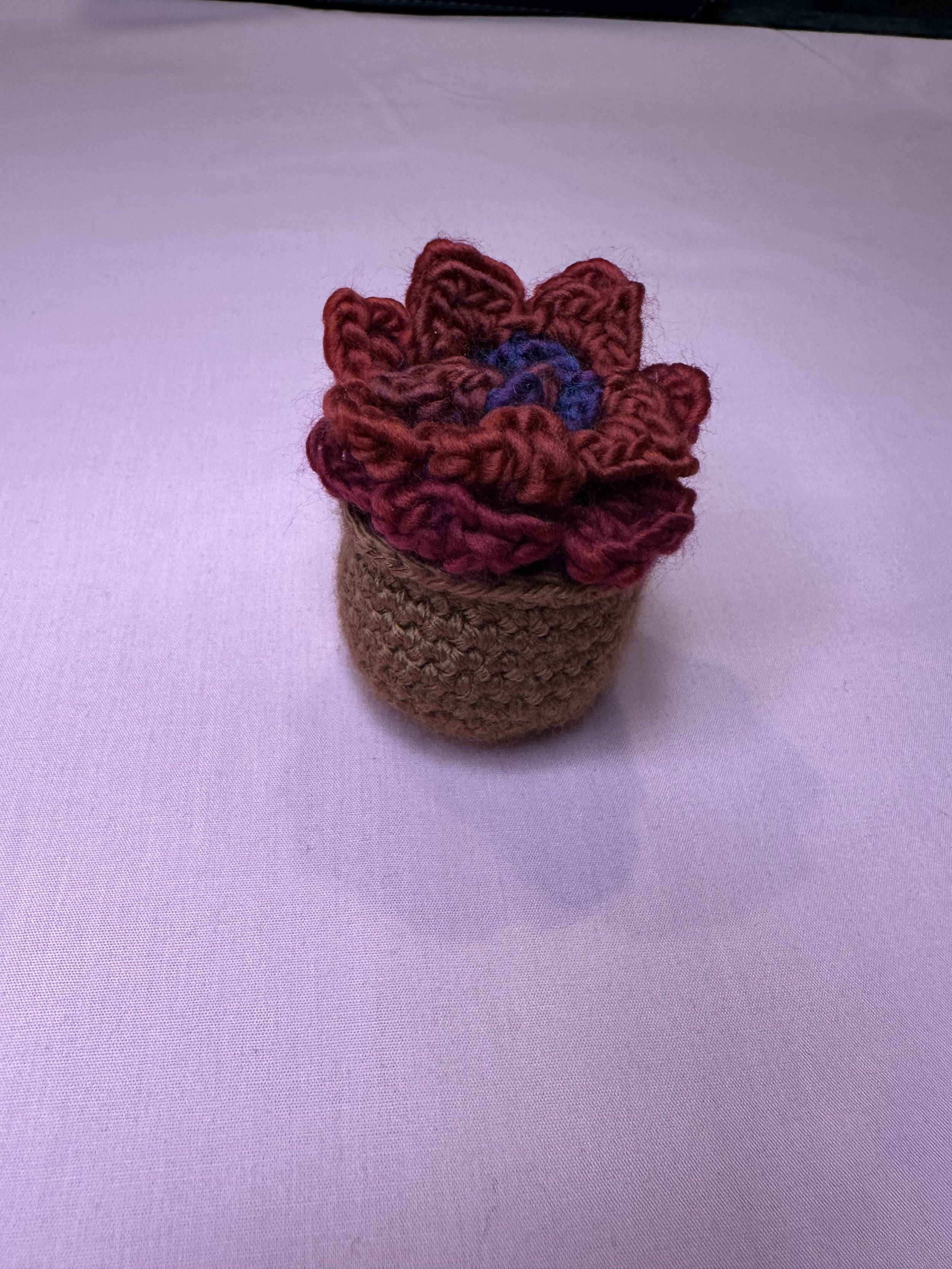Crimson Succulent