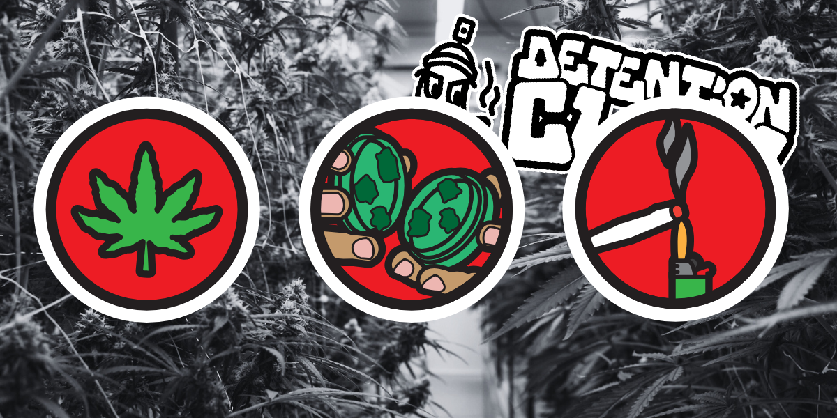 THCA Flower Explained: Compliance, Chemistry, and Consumer Education