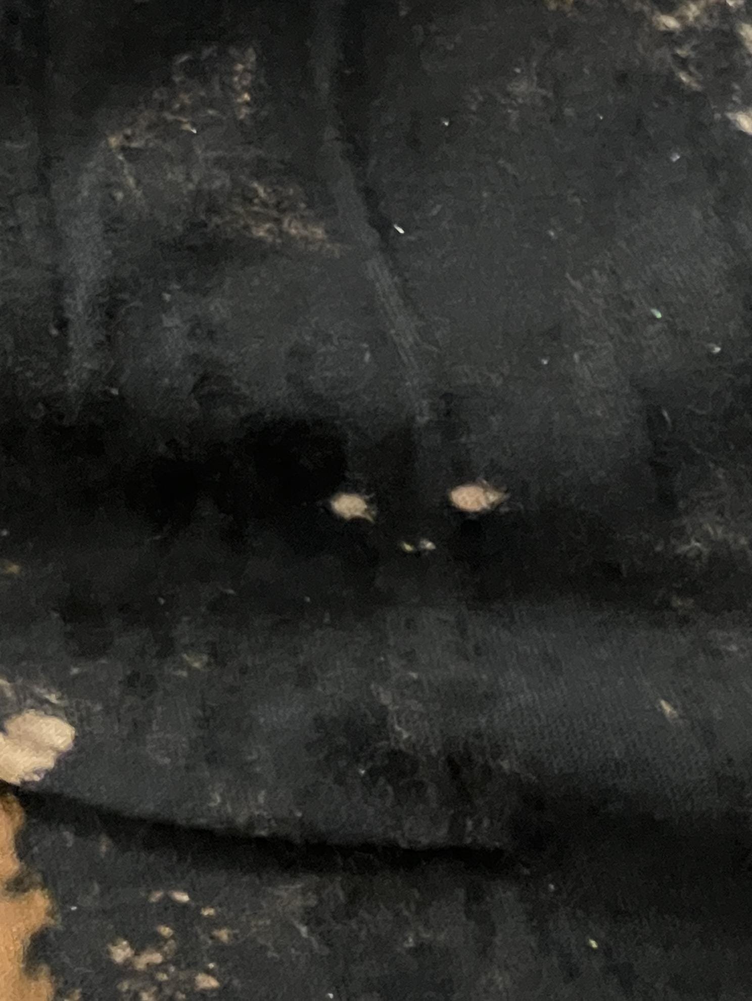 https://i.etsystatic.com/44222491/r/il/e6b9a5/6314081254/il_fullxfull.6314081254_f8r0.jpg