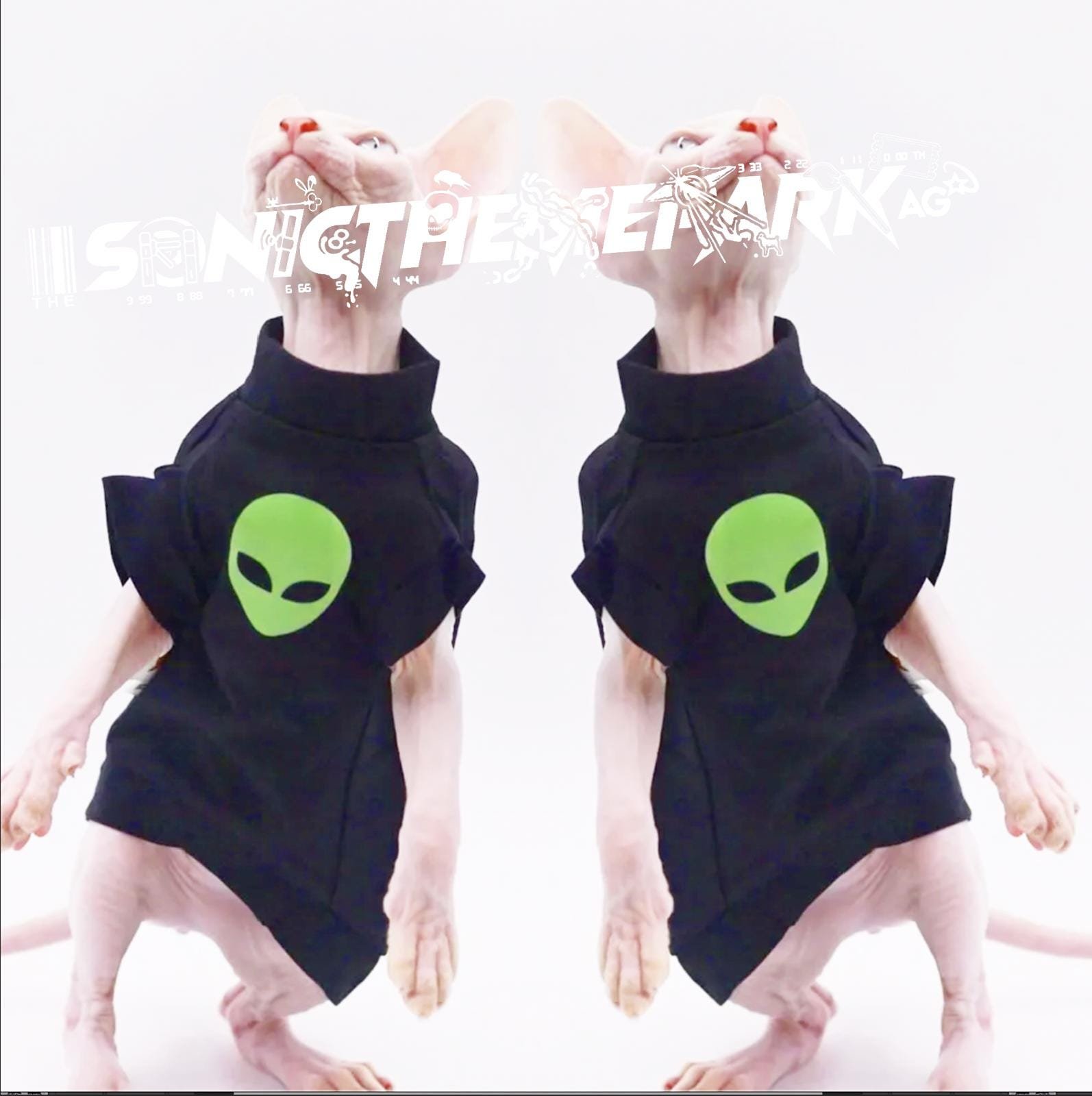 https://i.etsystatic.com/44222491/r/il/e0387c/6247229960/il_fullxfull.6247229960_nnki.jpg
