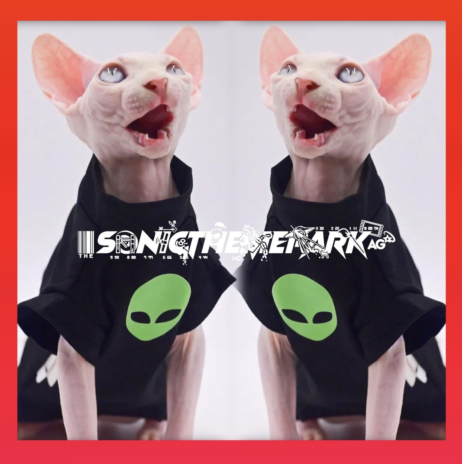 https://i.etsystatic.com/44222491/r/il/58b348/6295273351/il_fullxfull.6295273351_cgiu.jpg