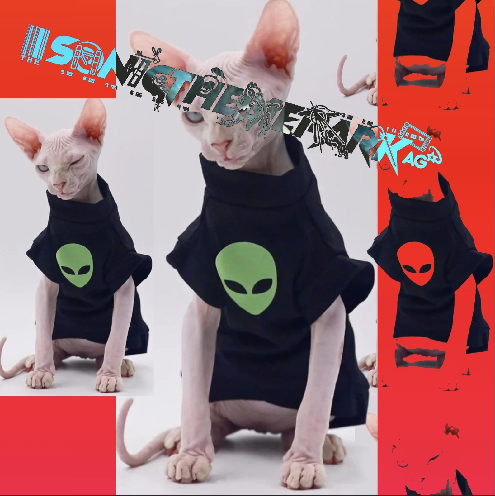 https://i.etsystatic.com/44222491/r/il/eed17c/6247225444/il_fullxfull.6247225444_9pw1.jpg