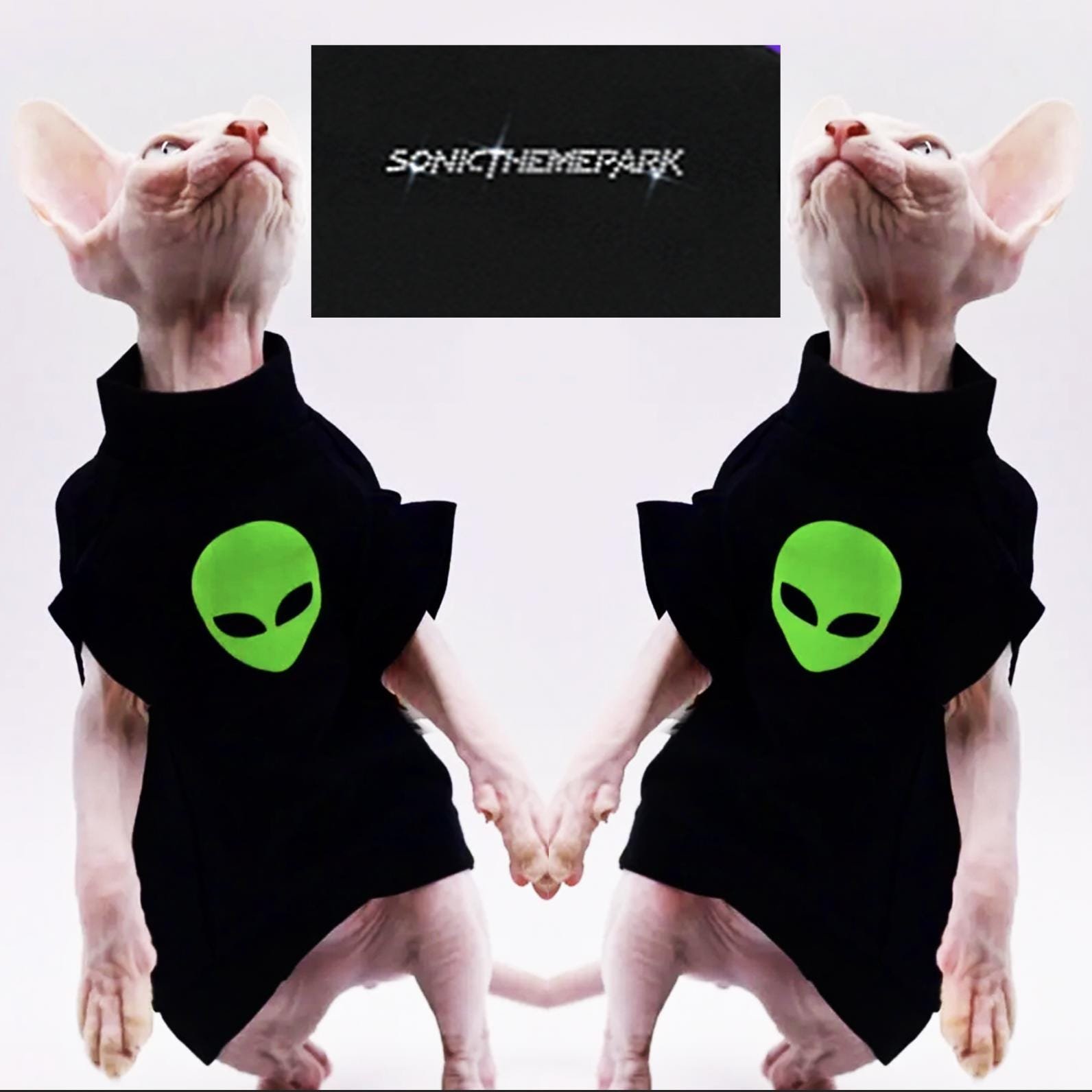 https://i.etsystatic.com/44222491/r/il/4ca28c/6295297967/il_fullxfull.6295297967_ipp8.jpg