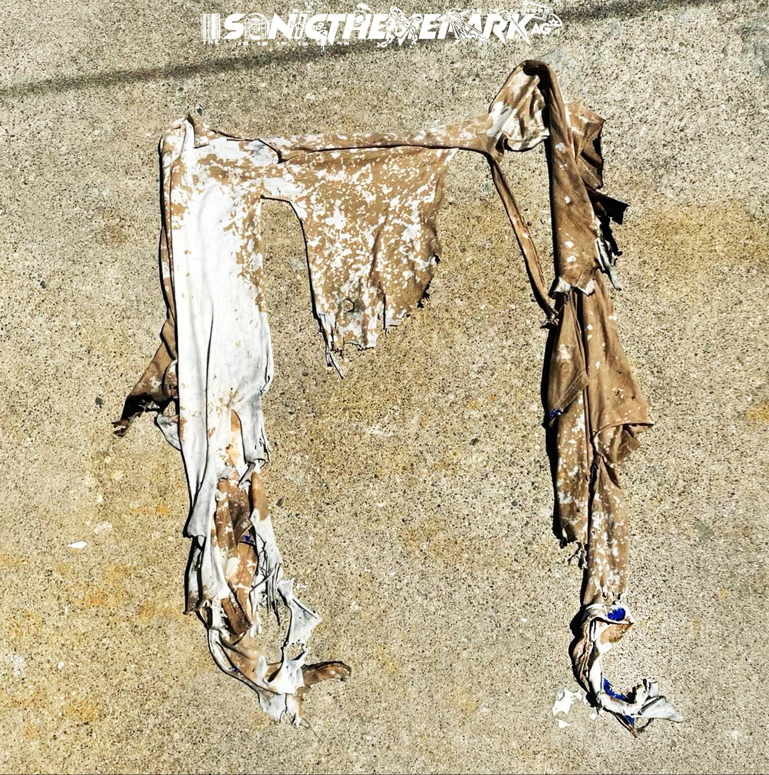 https://i.etsystatic.com/44222491/r/il/086666/6191615841/il_fullxfull.6191615841_49gi.jpg