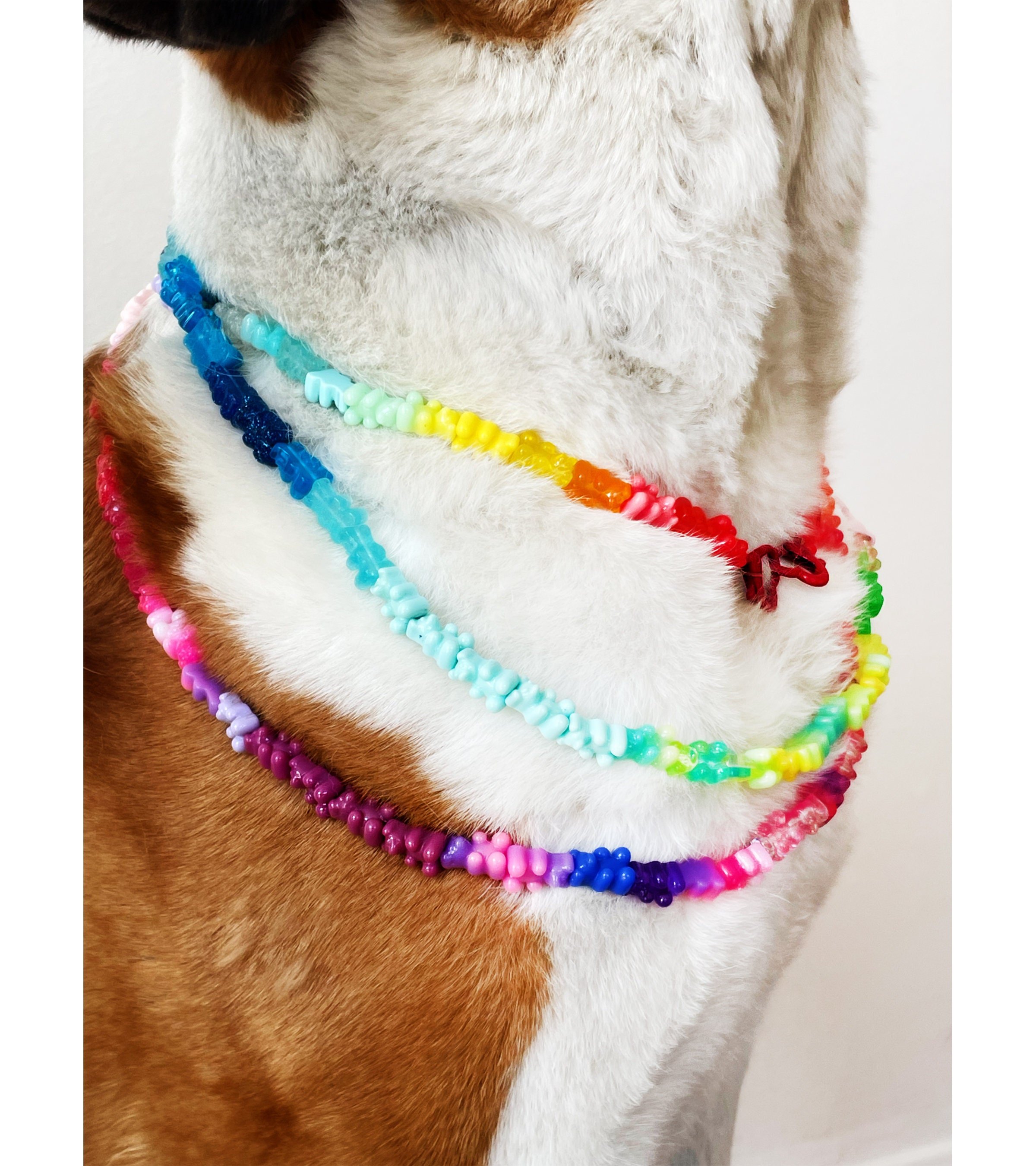 https://i.etsystatic.com/44222491/r/il/09389a/5513335675/il_fullxfull.5513335675_8yhh.jpg
