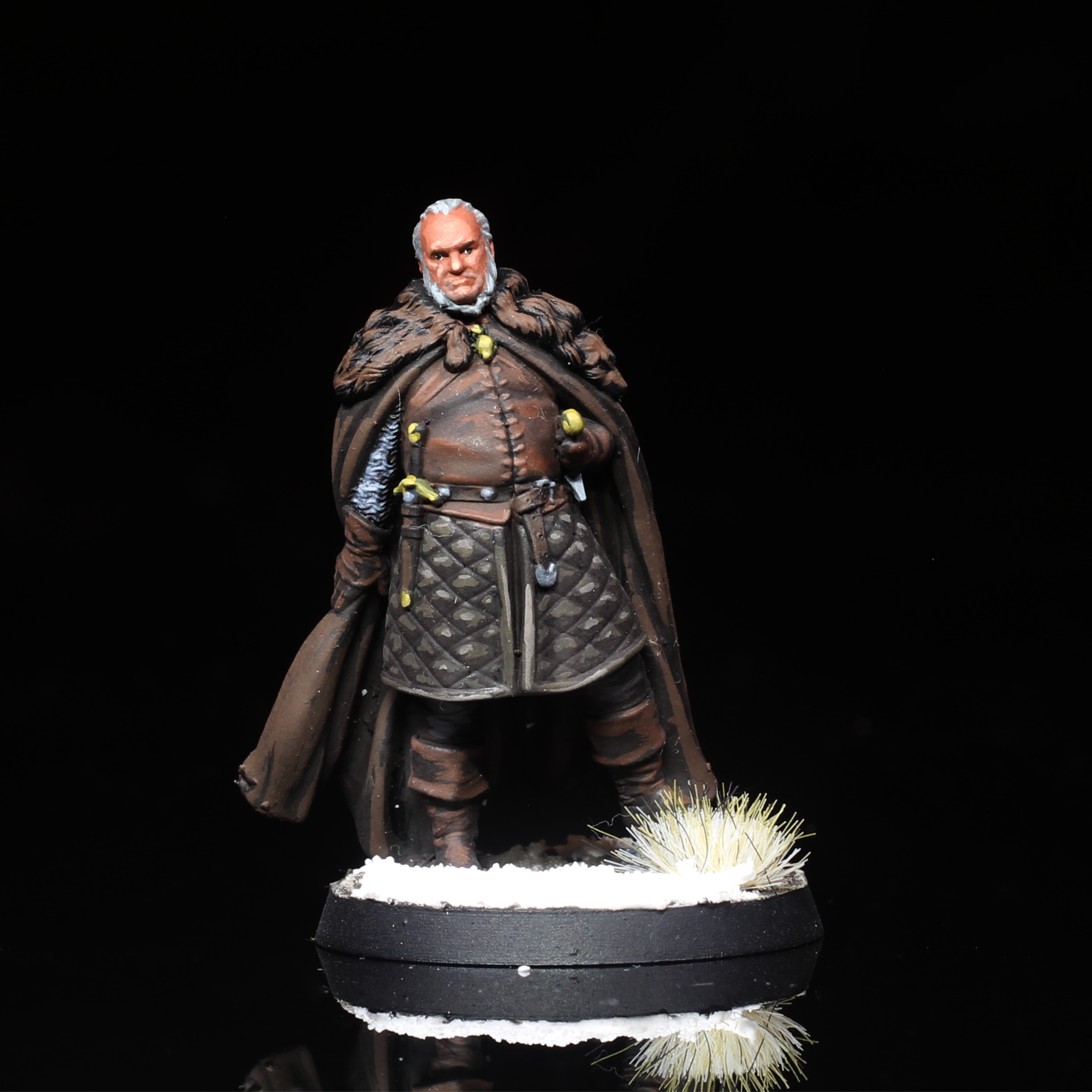 Ser Rodrik