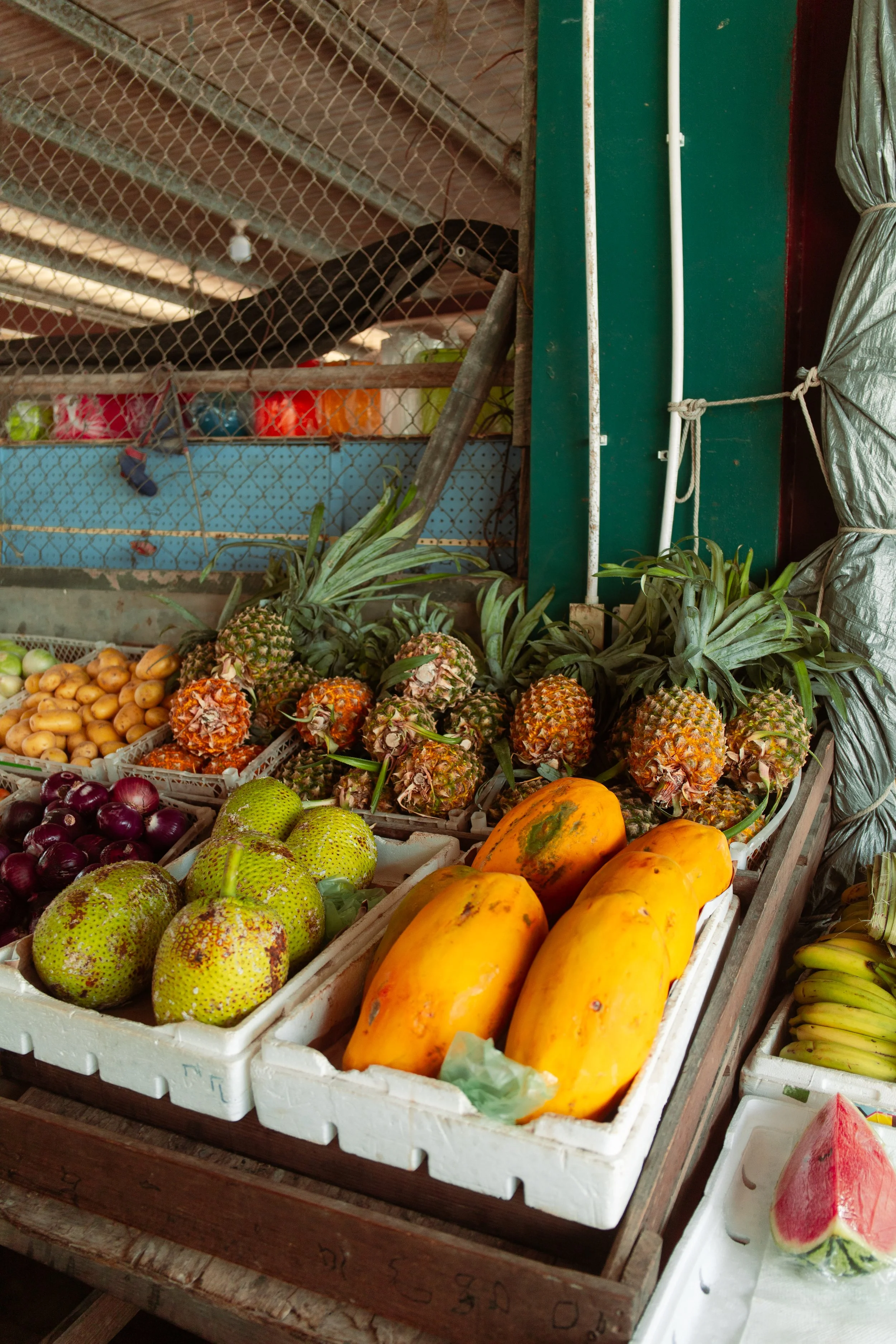 What to Eat in San Ignacio, Belize: A Food Lover'sReal Guide