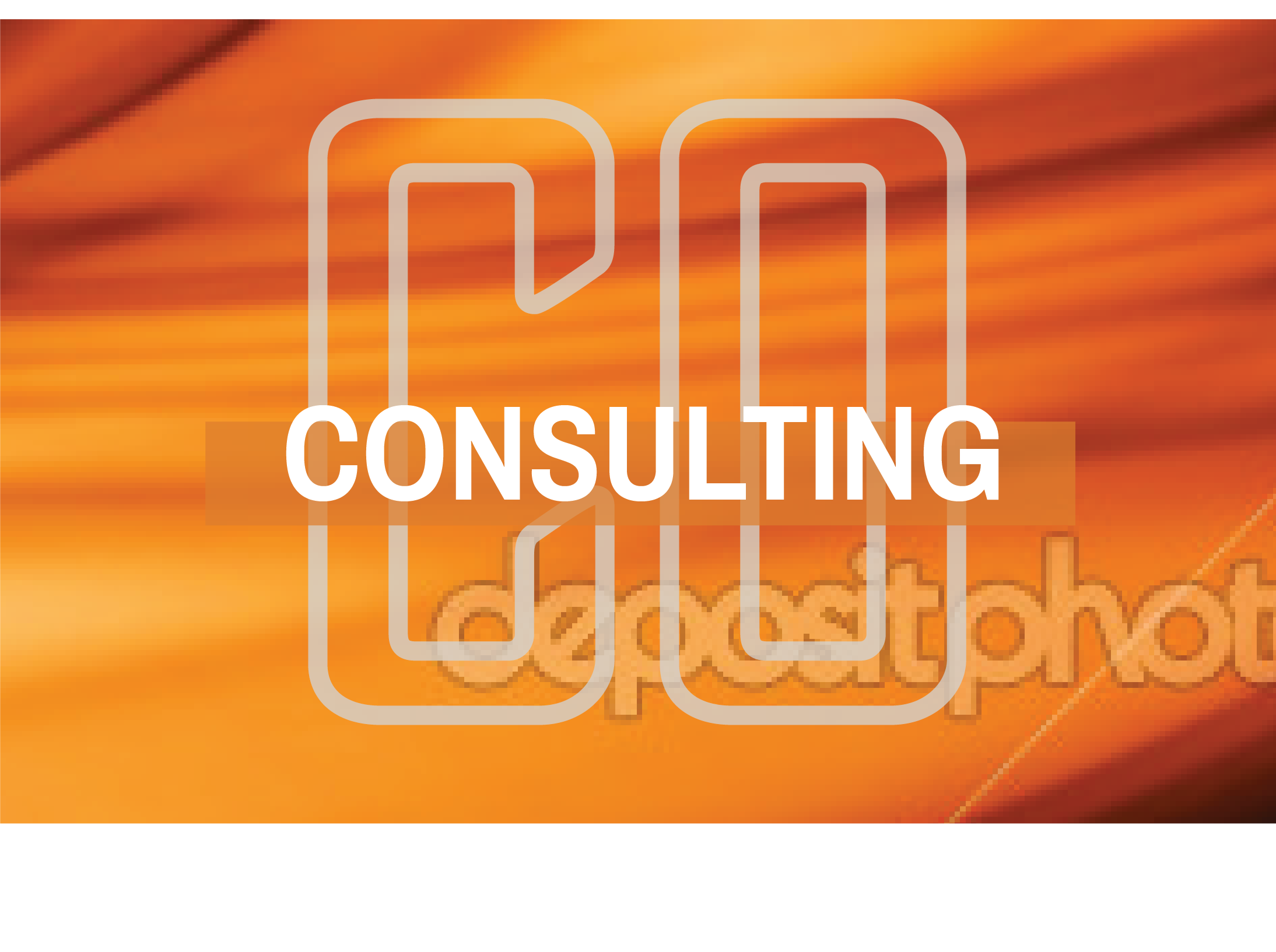 CONSULTING