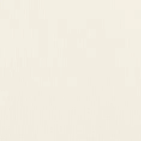 Ivory Coast 100%.jpeg