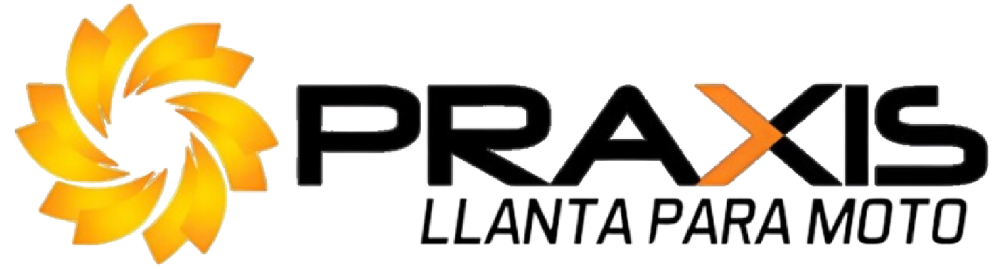 LOGO PRAXIS.png