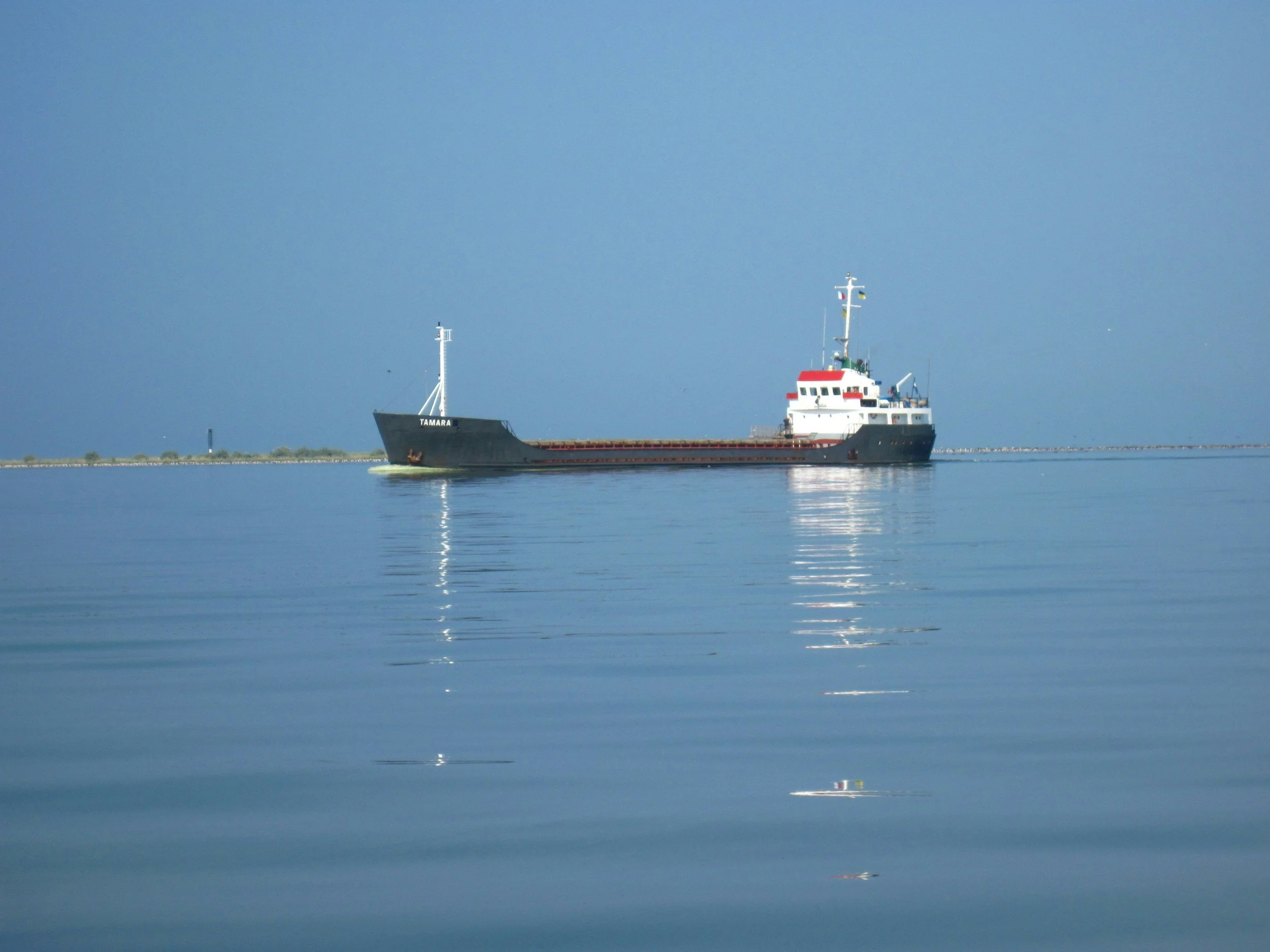 A large black and white cargo ship named Tamara sailing on calm water with a clear blue sky in the background.