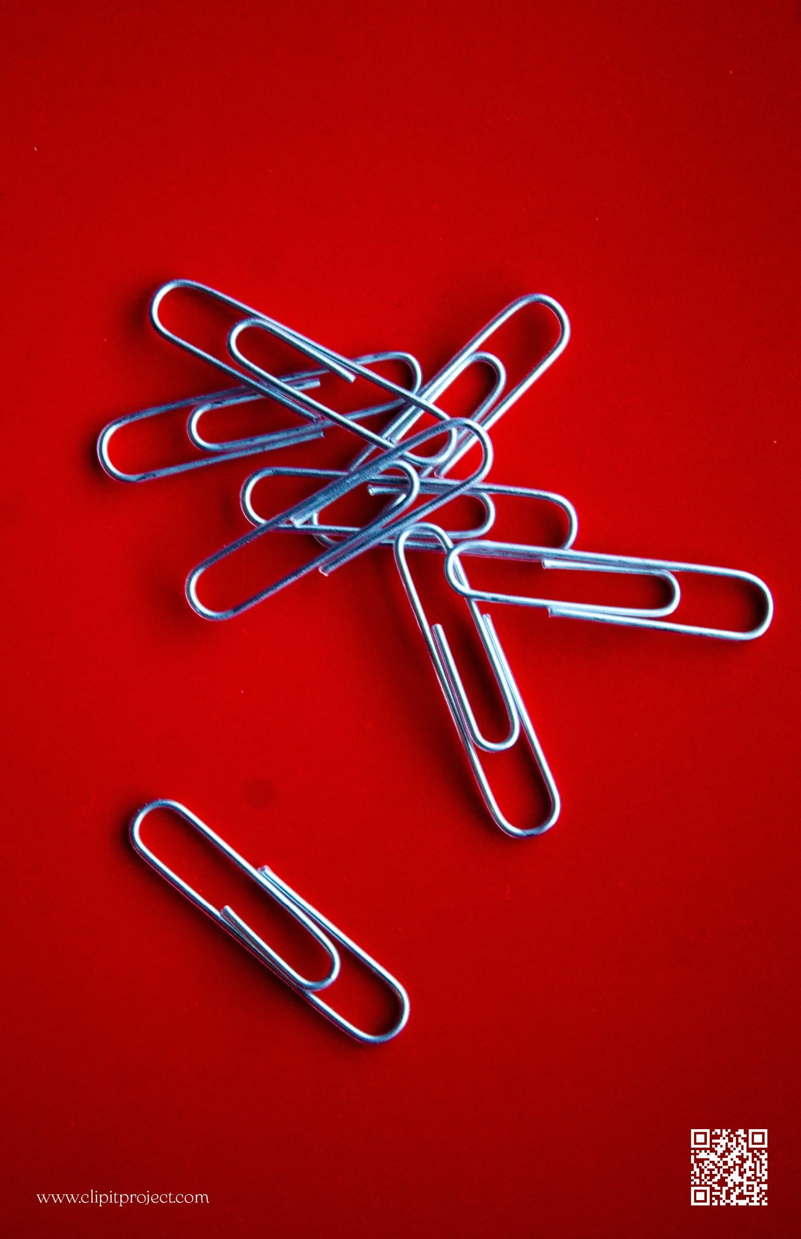 Several silver paperclips scattered on a bright red background.