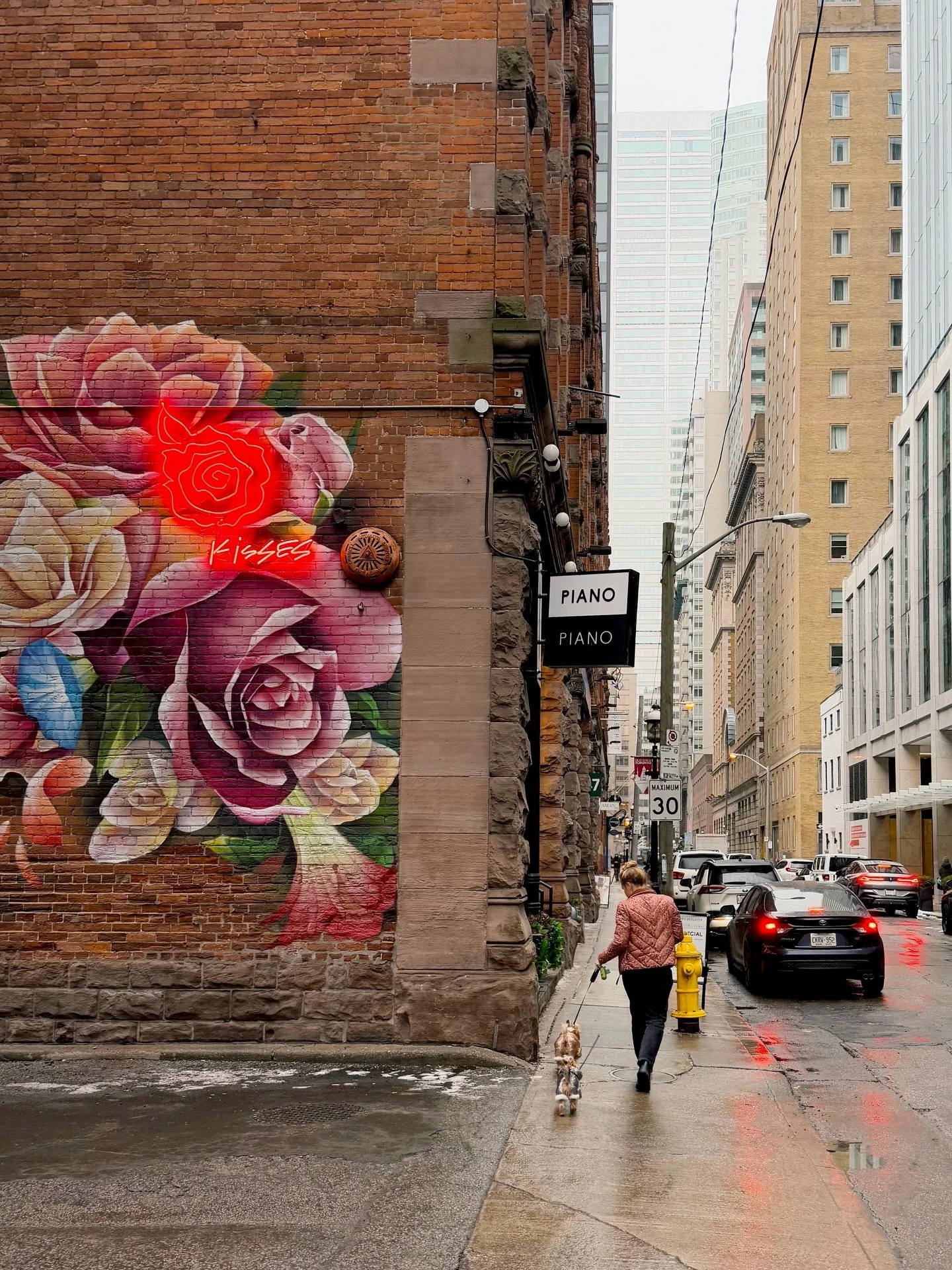 Sometimes, being single sucks. There are moments when loneliness creeps in. When it&rsquo;s easy to feel left out or like the third wheel, depending on the friend group.

But most times, I soak up the sovereignty like a cat in a sunbath. Warm, quiet,