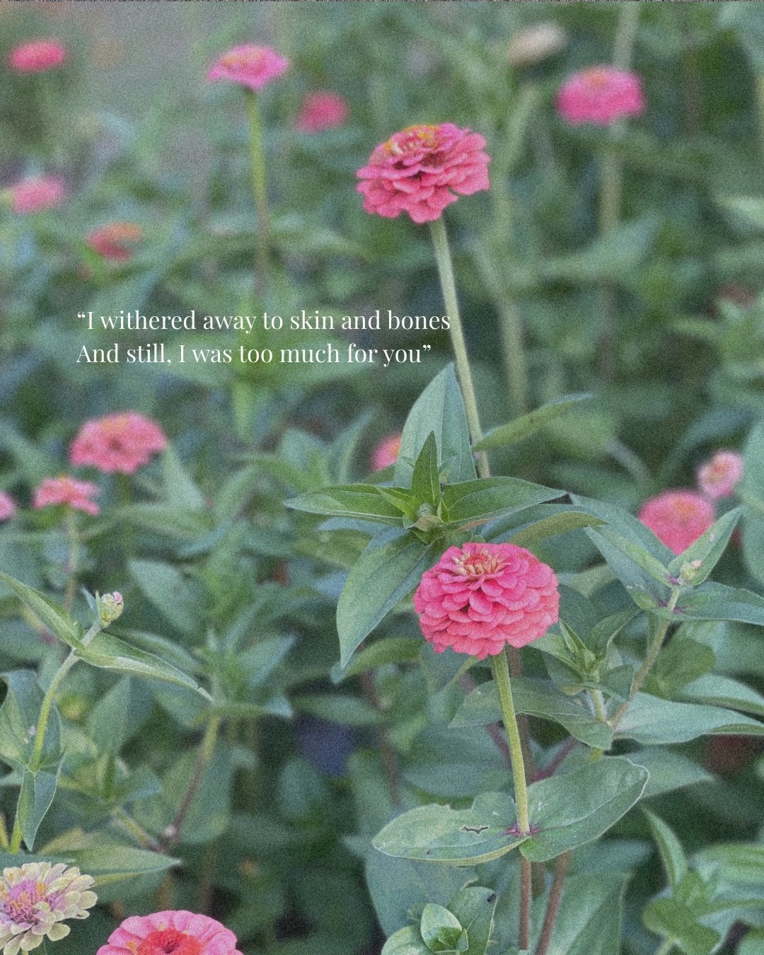 For anyone made to feel less by those who never measured up 💌

#CatchingEconomy #PersonalTravelBlog #TravelAndGrowth #StoriesFromTheRoad #CreativeJourneyBlog