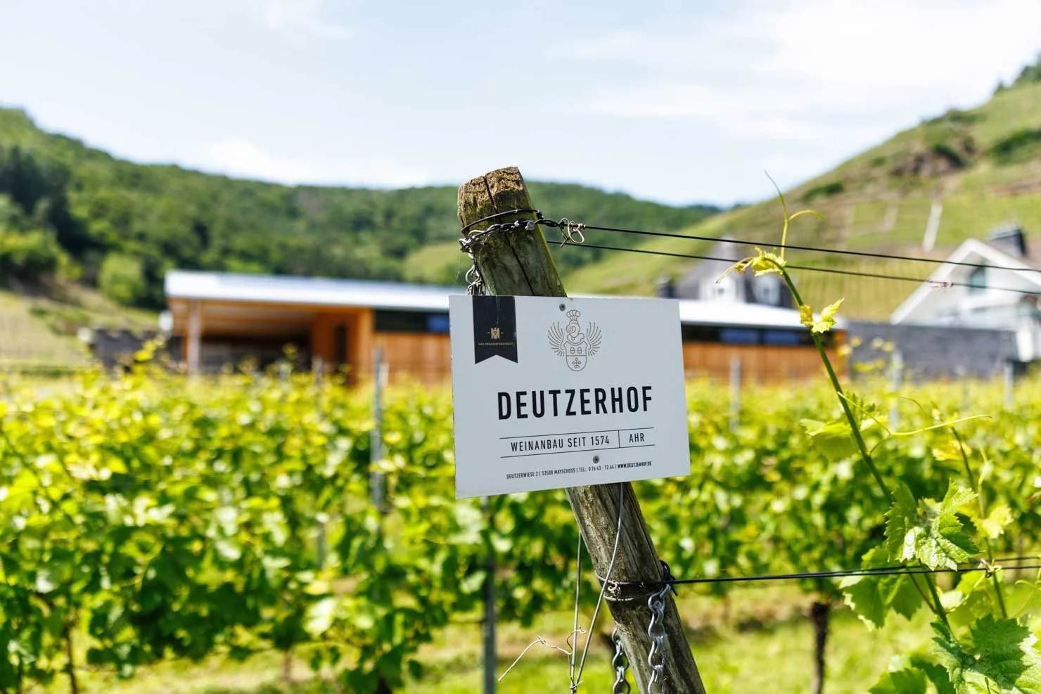Weinreise an die Air