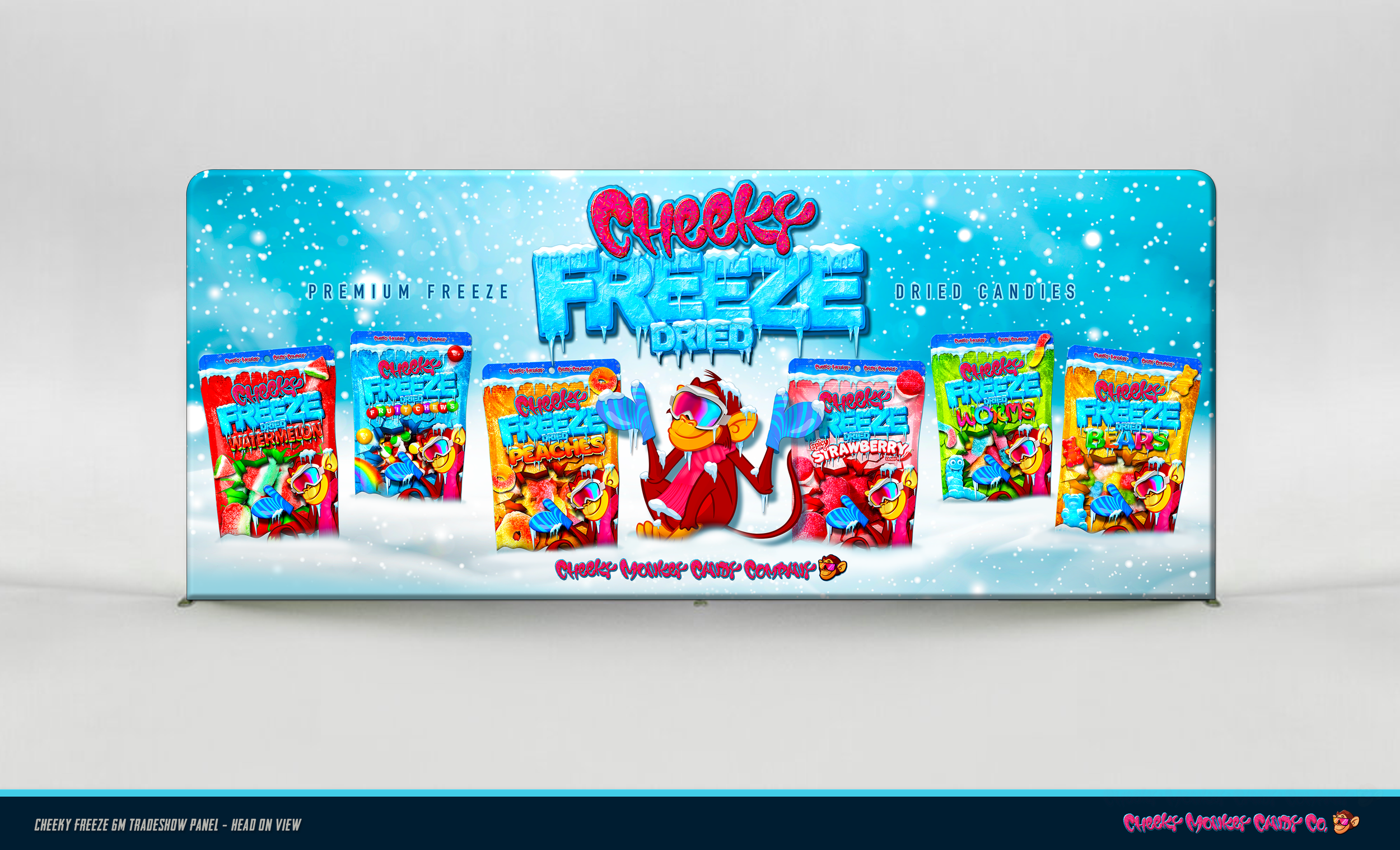 Cheeky Freeze - 6m Tradeshow Panel (head on view)
