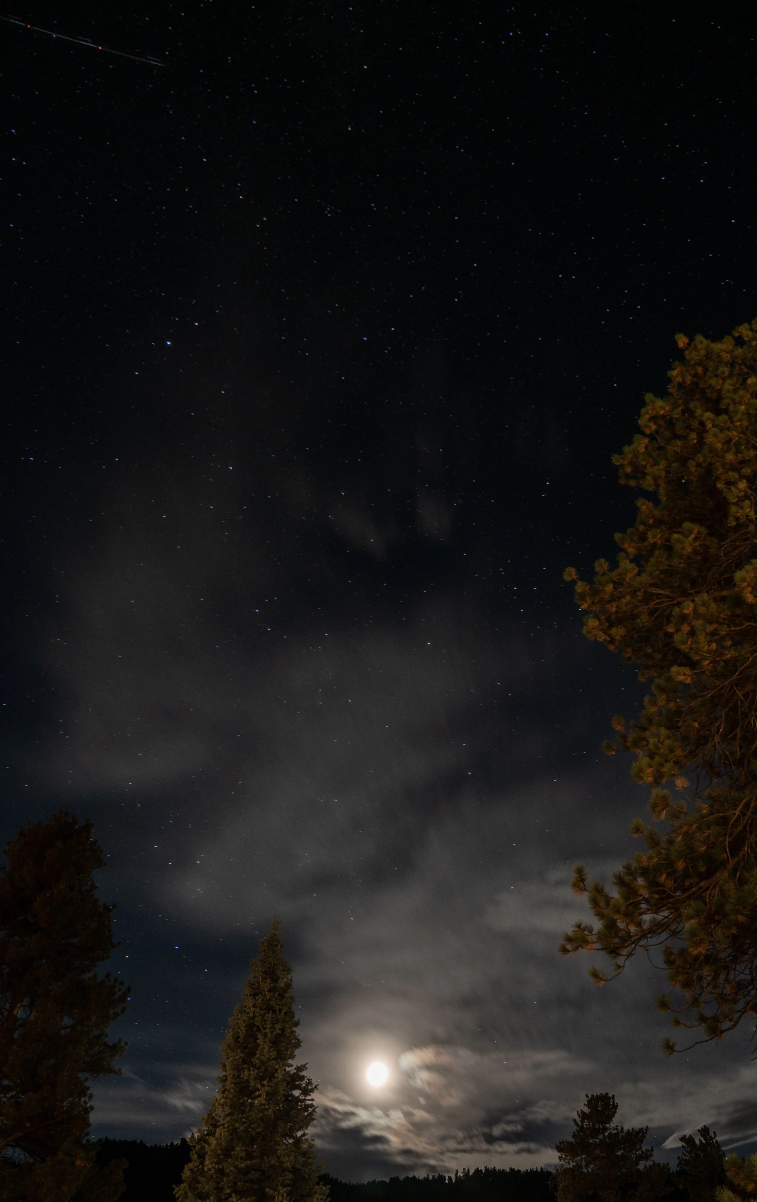 _DSC6164.JPG
