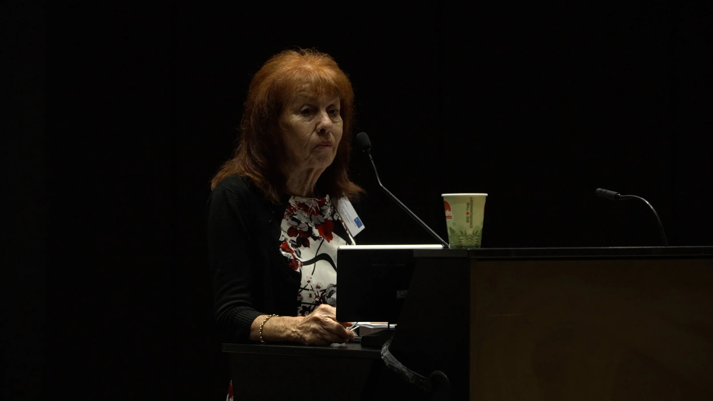 Building Bridges ESAQ 2025162.jpg