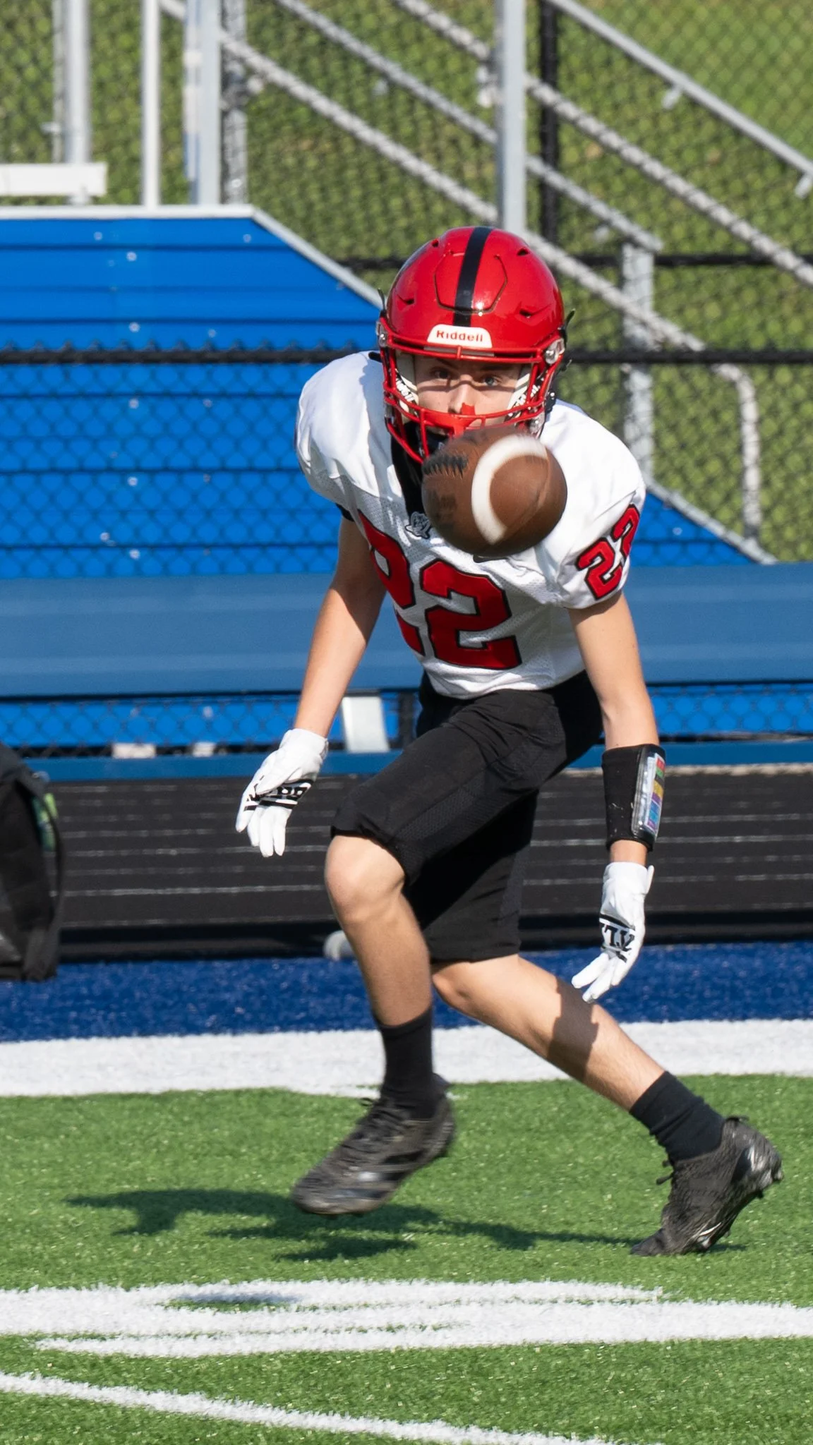 DSC_3179.jpg