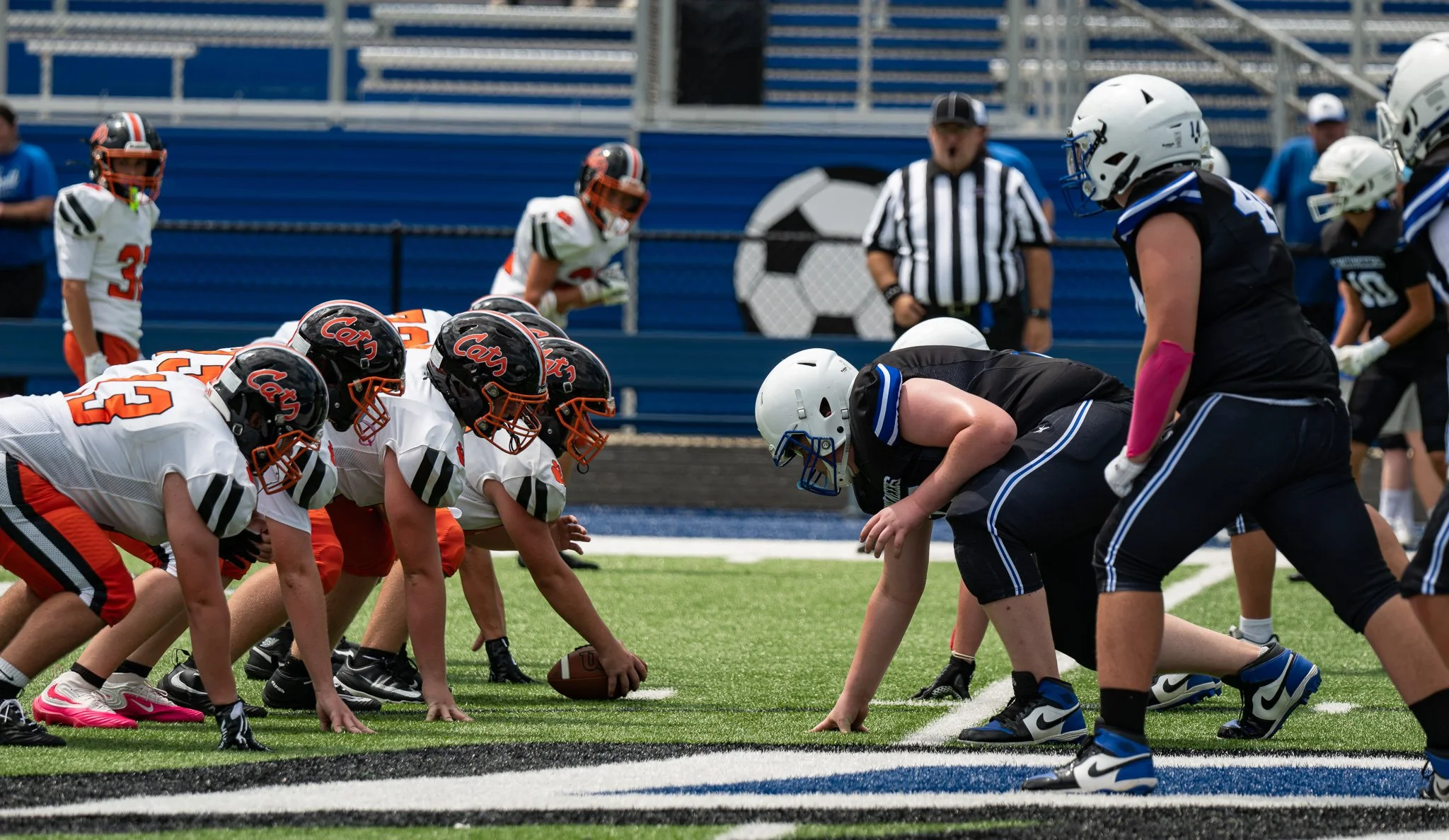 DSC_8100.jpg